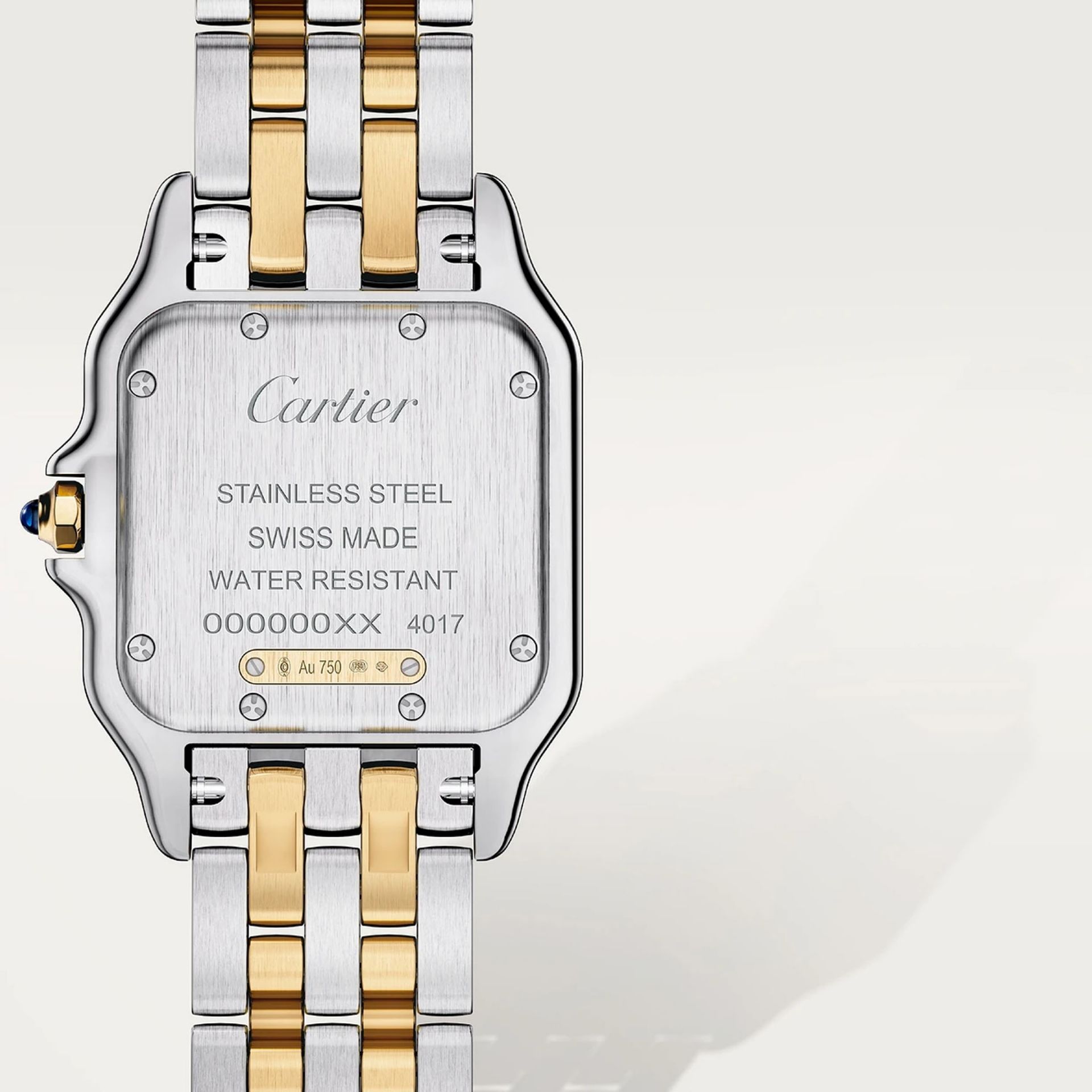 CARTIER Panthère De Cartier Modello Medio, Oro Giallo e Acciaio 29 X 37 MM W2PN0019