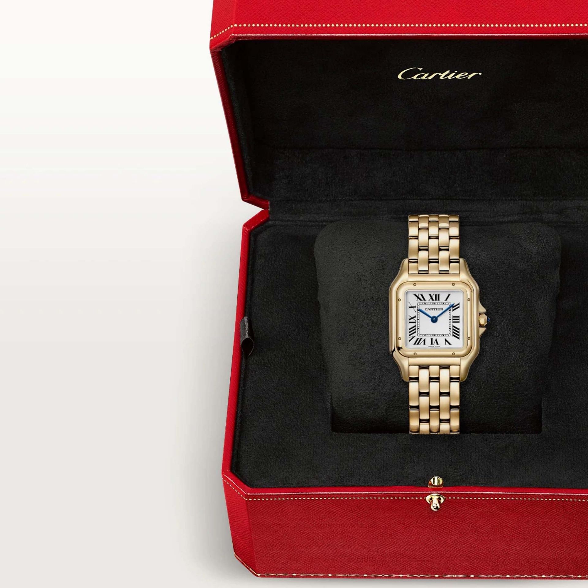 CARTIER Panthère De Cartier Modello Medio, Oro Giallo 29 X 37 MM WGPN0058