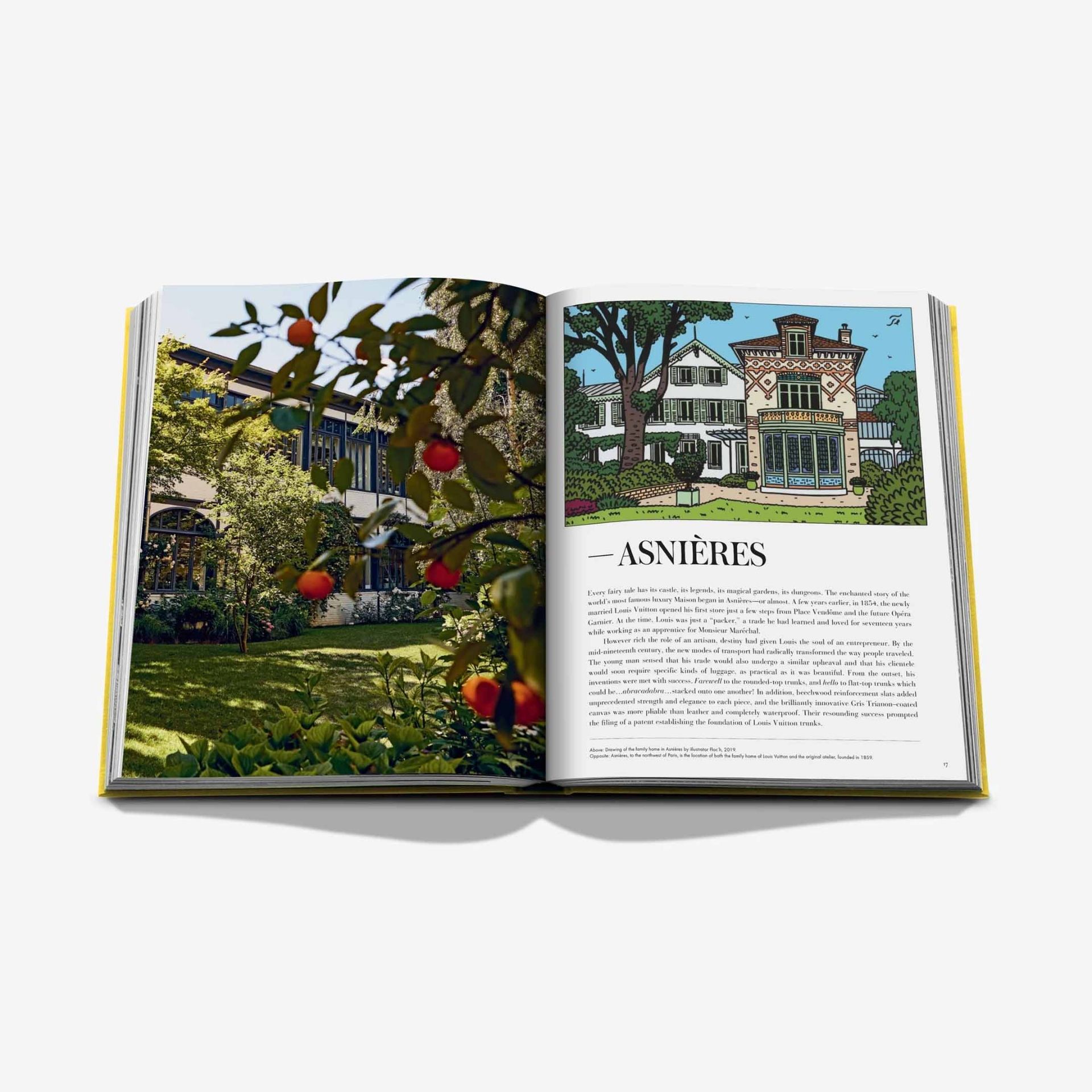 ASSOULINE Libro From Louis to Vuitton 28 x 4 x H 36 9781649803955