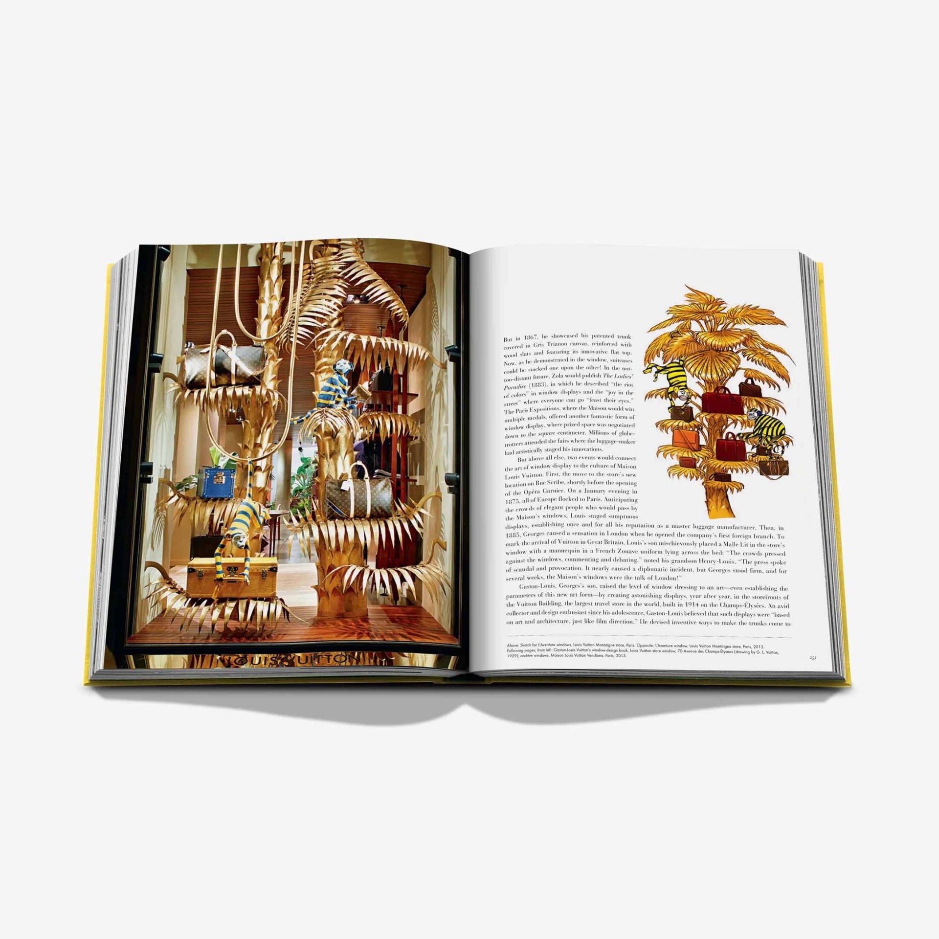 ASSOULINE Libro From Louis to Vuitton 28 x 4 x H 36 9781649803955