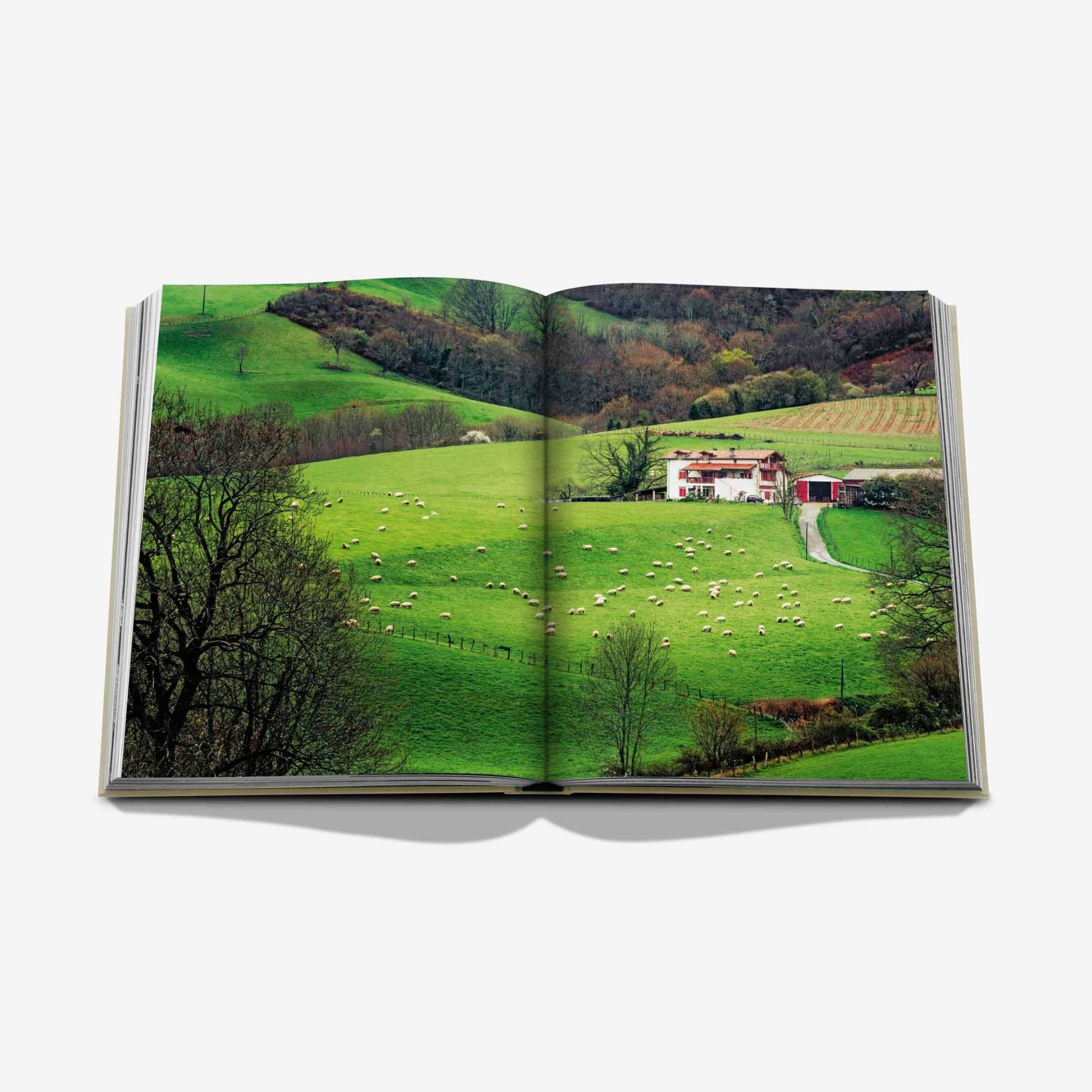 ASSOULINE Libro Biarritz Basque 25 x 4 x H 33 CM 9781649803399