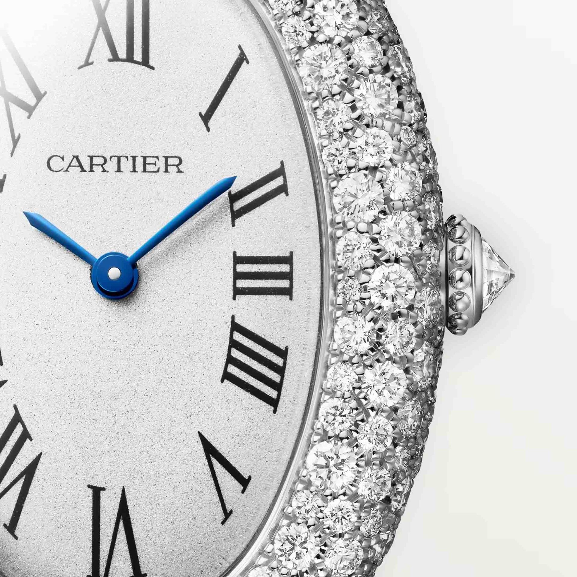 CARTIER Baignoire Modello Medio, Oro Bianco, Diamanti, Pelle 36 X 26 MM WJBA0046