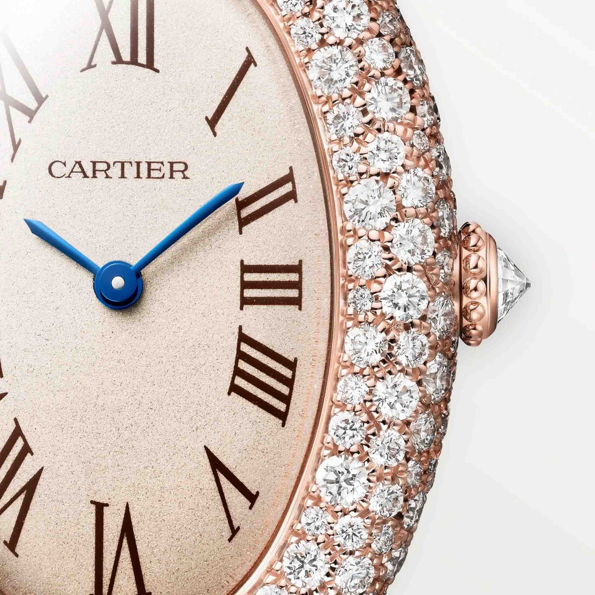 CARTIER Baignoire Modello Medio, Oro Rosa, Diamanti, Pelle 36 X 26 MM WJBA0047