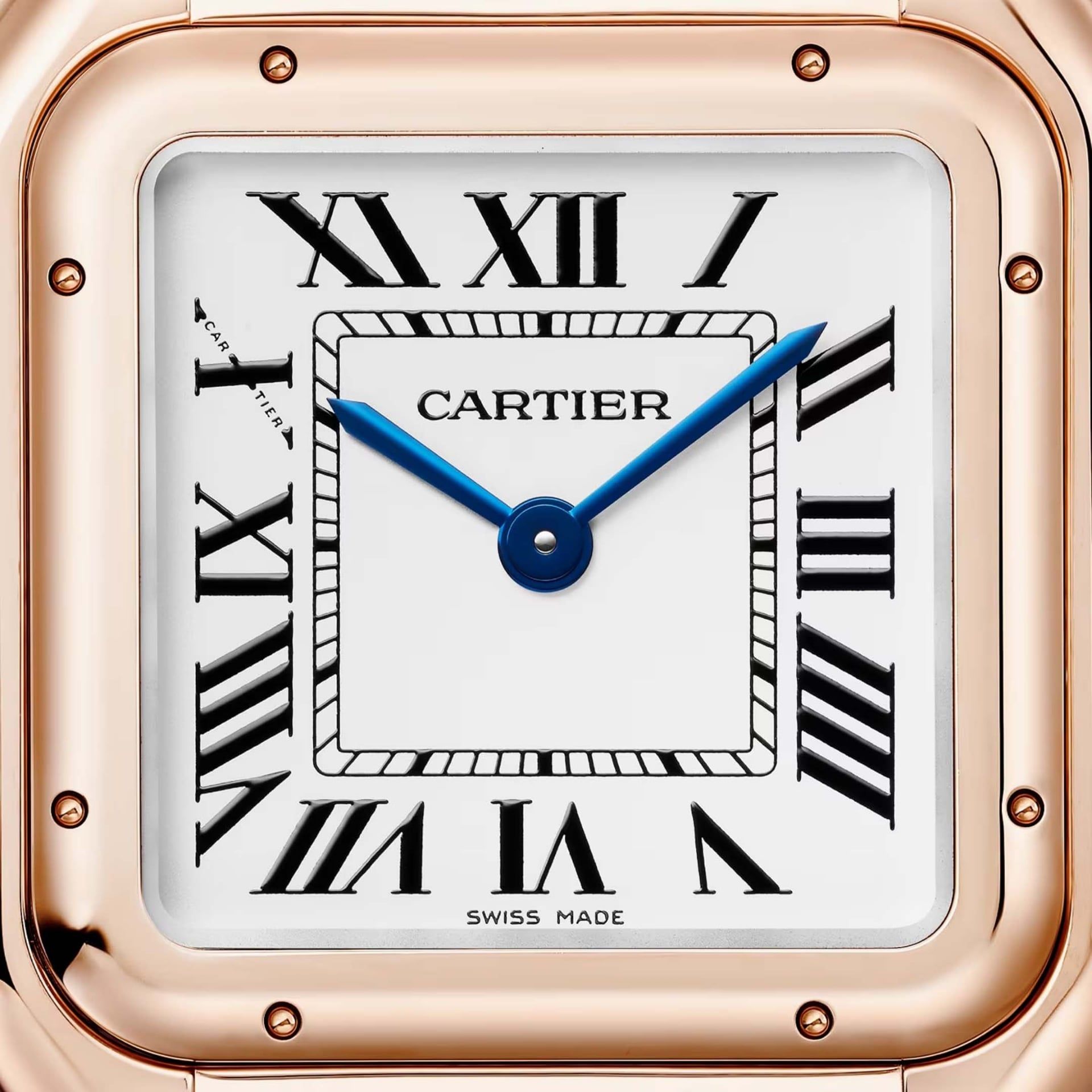 CARTIER Panthère De Cartier Modello Medio, Oro Rosa 29 X 37 MM WGPN0061