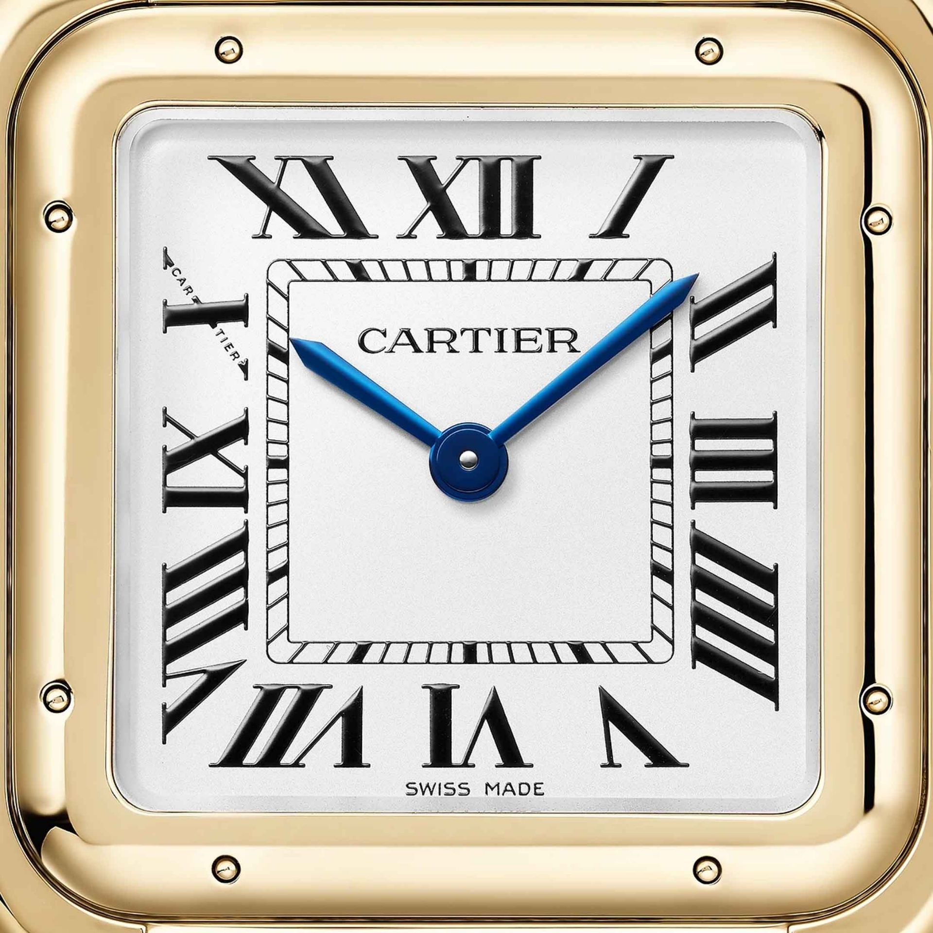 CARTIER Panthère De Cartier Modello Grande, Oro Giallo 31 X 42 MM WGPN0051
