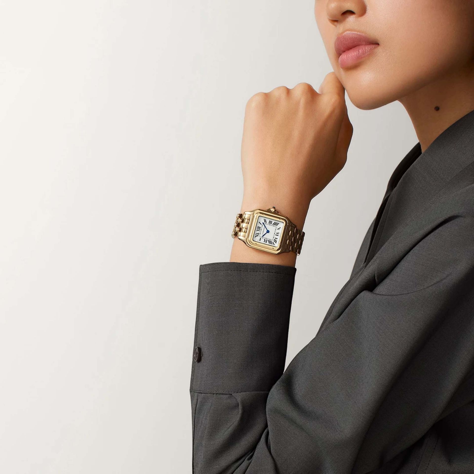 CARTIER Panthère De Cartier Modello Grande, Oro Giallo 31 X 42 MM WGPN0051