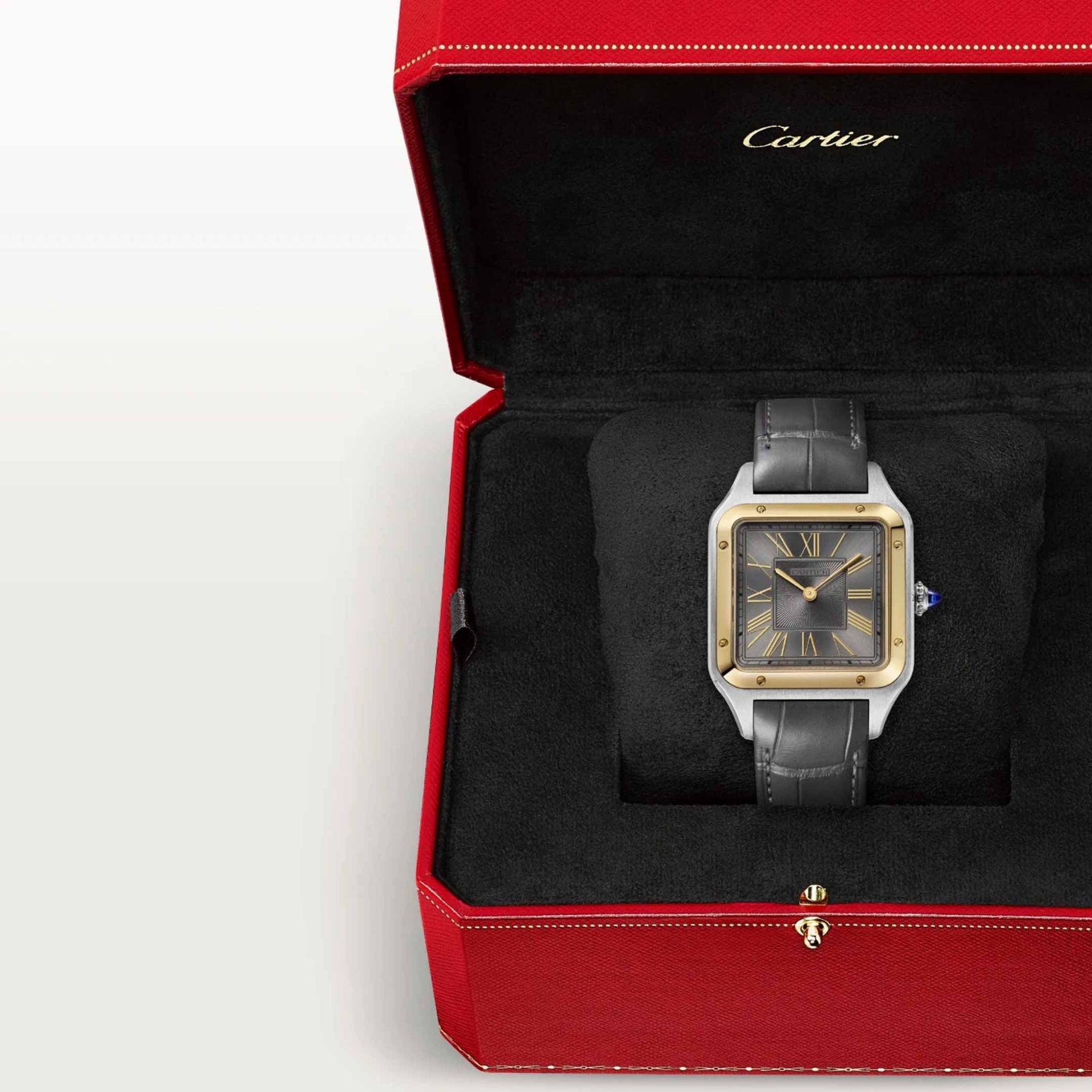 CARTIER Santos-Dumont Modello Grande, Acciaio e Oro Giallo, Pelle 43.5 X 31.4 MM W2SA0036