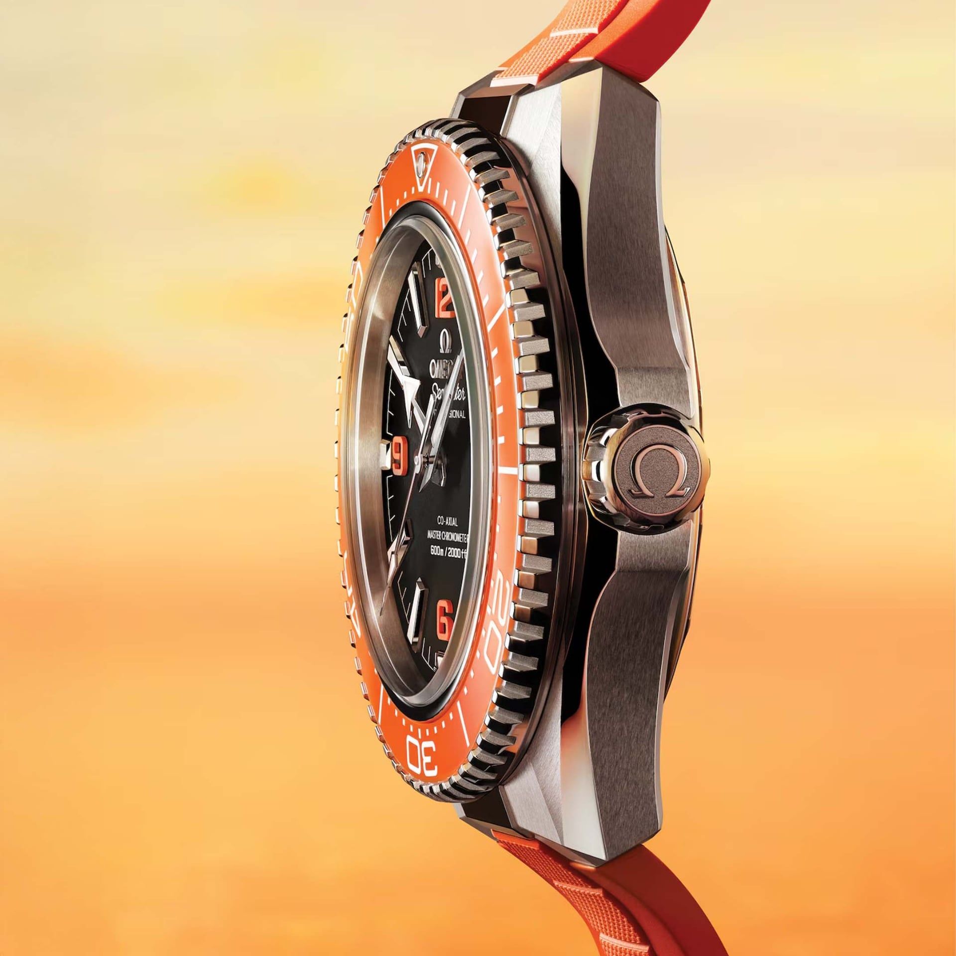 OMEGA Seamaster Planet Ocean 600M 42 MM 217.32.42.21.01.004