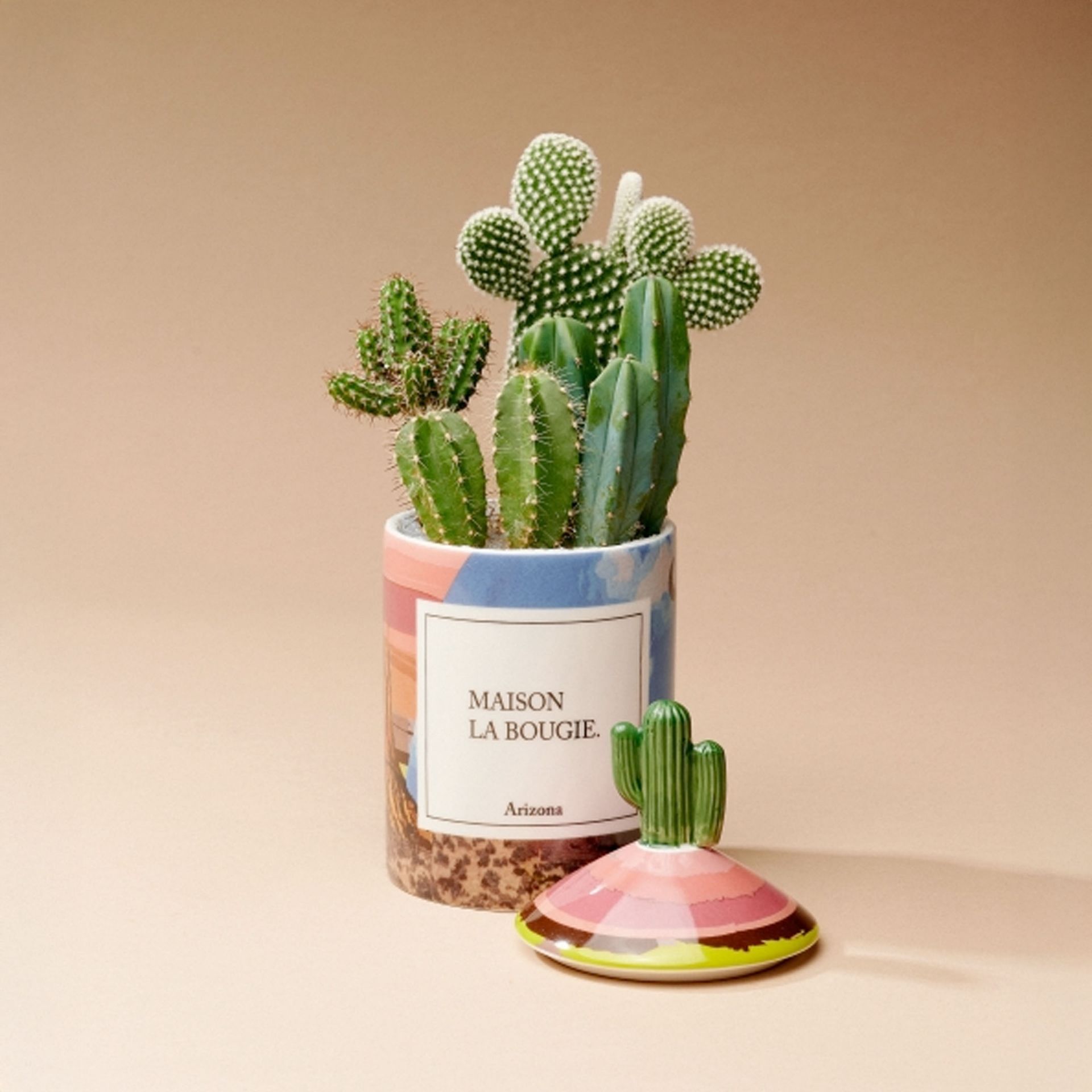 Maison La Bougie Candela Miracle Gallery Arizona Fragranza Fico Verde 350 gr MLB96