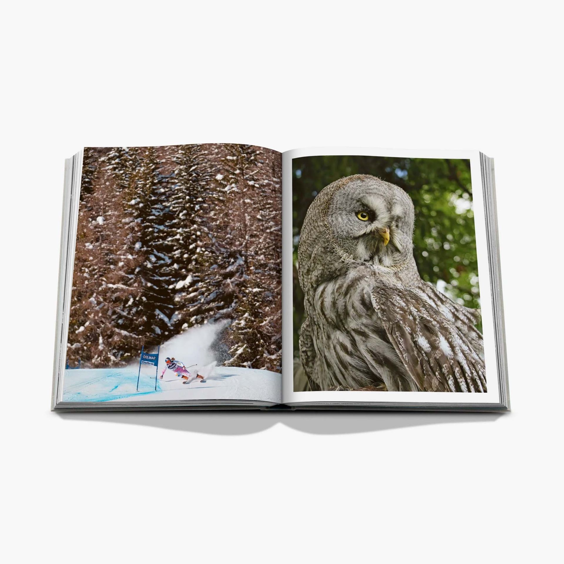 ASSOULINE Libro Cortina d'Ampezzo 25 x 4 x H 33 CM 9781649806147