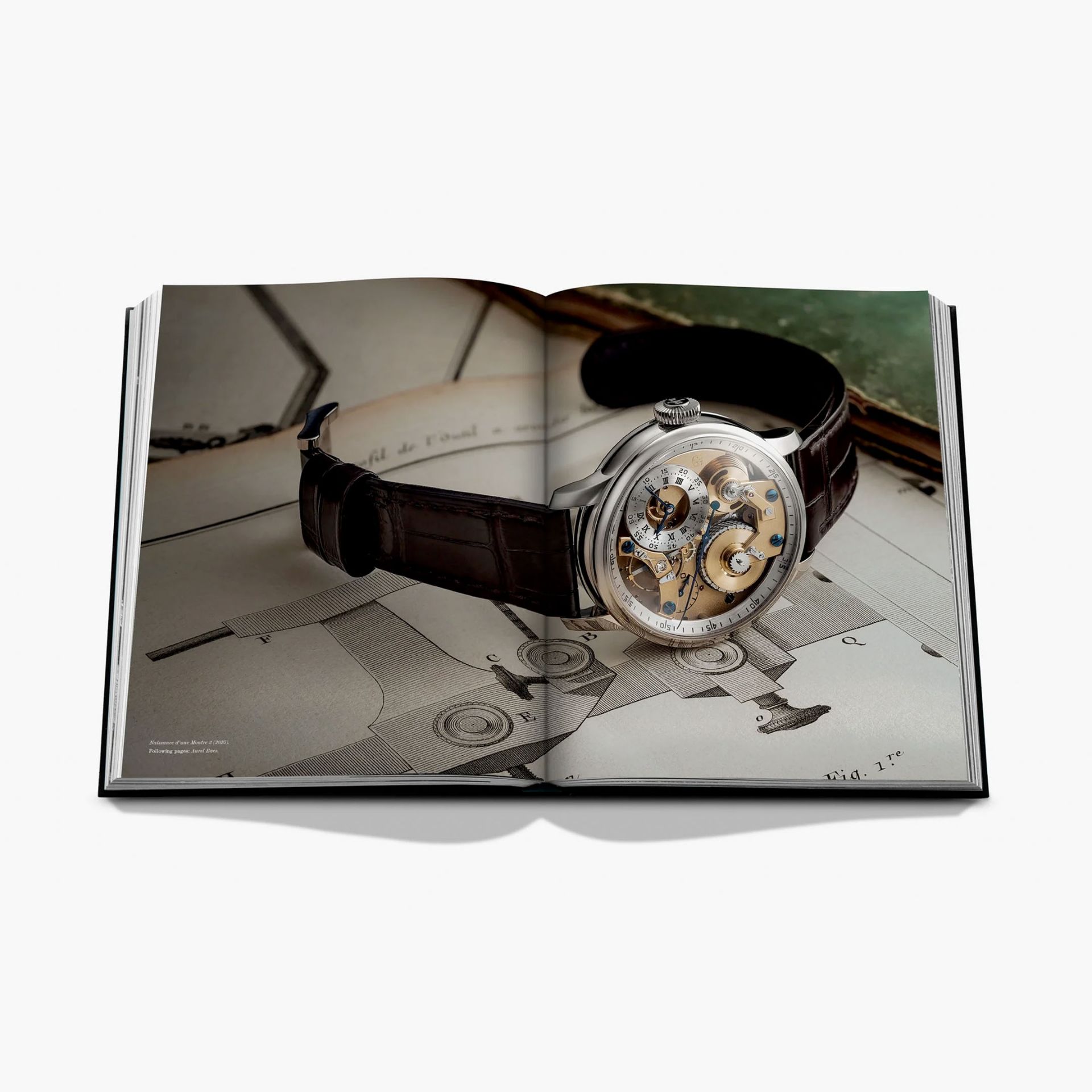 ASSOULINE Libro Ferdinand Berthoud: The Quest for Precision 28 x 4 x H 36 CM 9781649805287