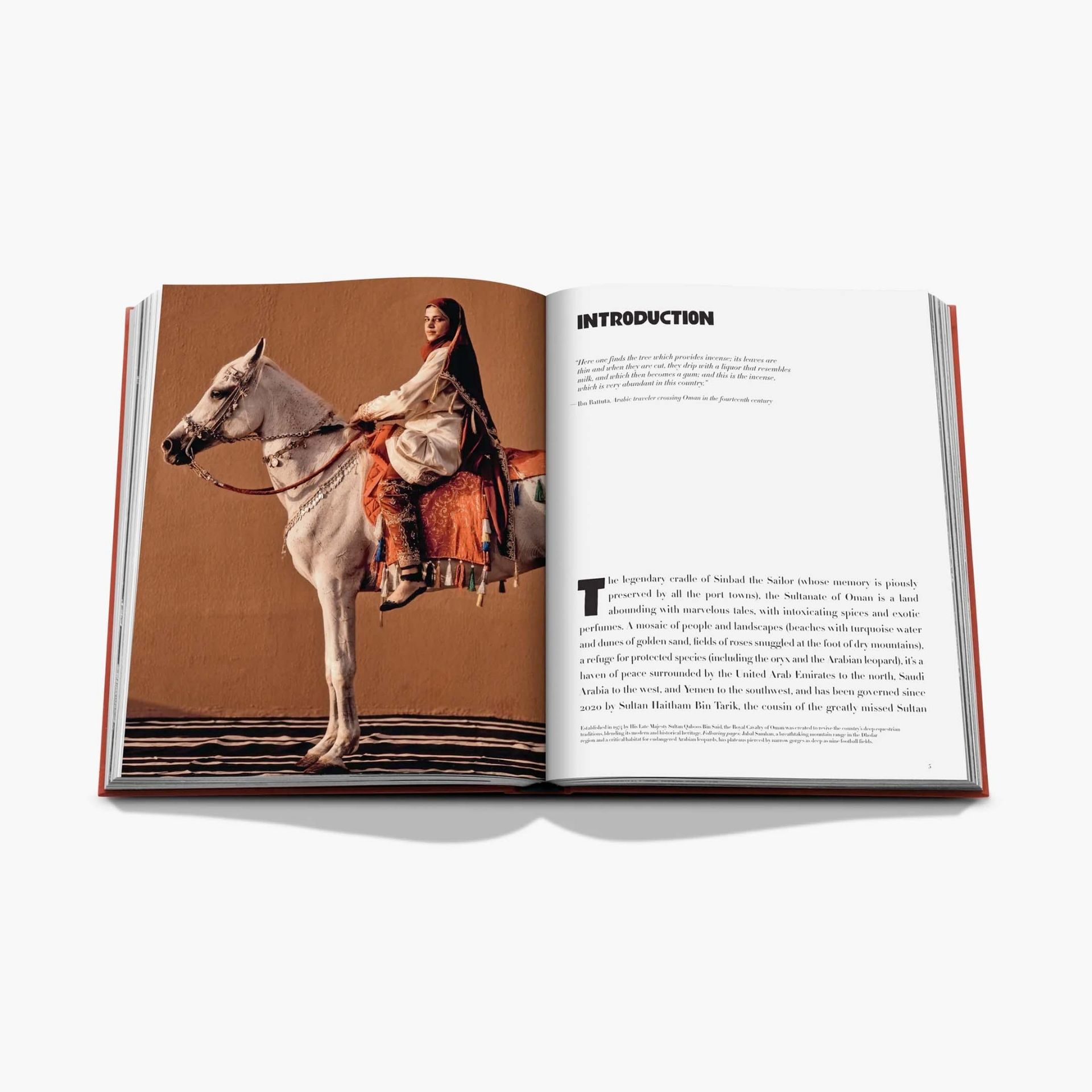 ASSOULINE Libro Oman Odyssey 25 x 4 x H 33 CM 9781649805867
