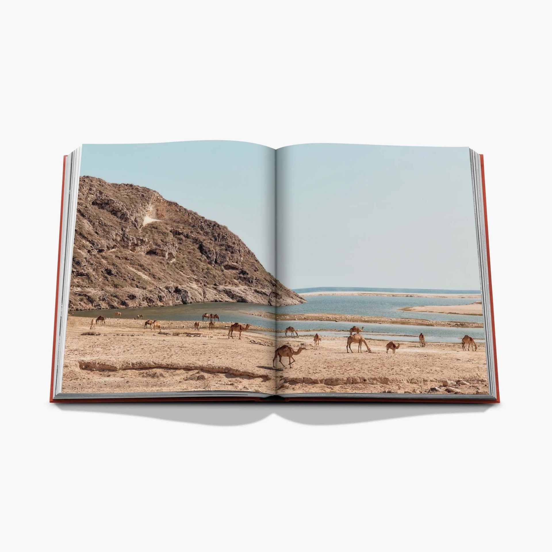 ASSOULINE Libro Oman Odyssey 25 x 4 x H 33 CM 9781649805867