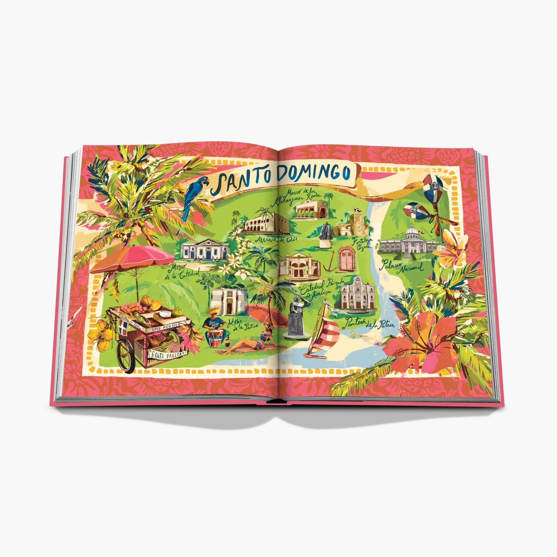 ASSOULINE Libro Santo Domingo 25 x 4 x H 33 CM 9781649801203