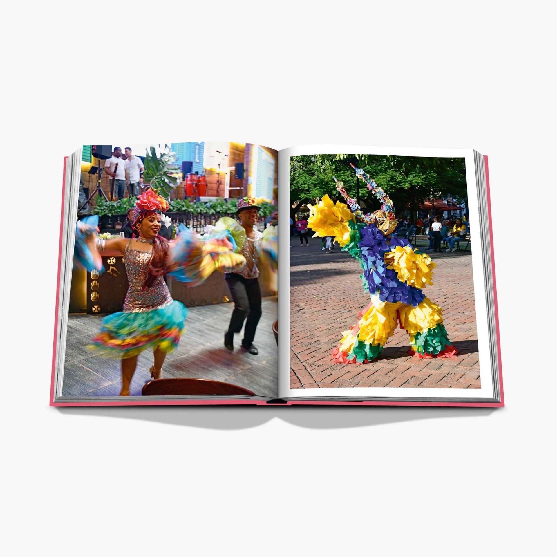 ASSOULINE Libro Santo Domingo 25 x 4 x H 33 CM 9781649801203