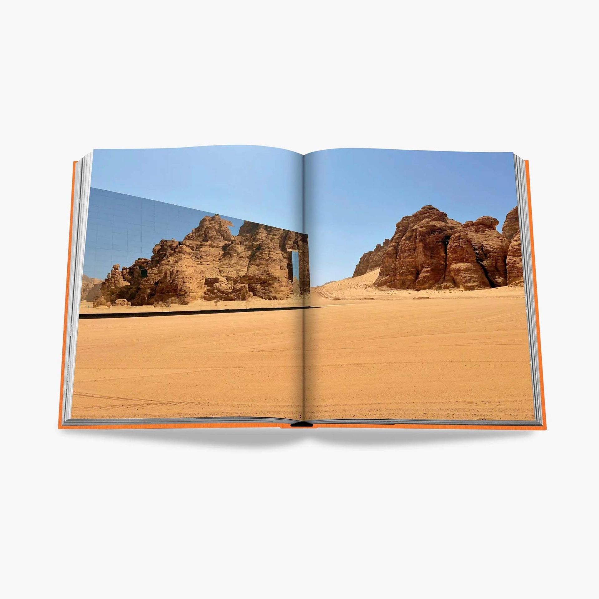 ASSOULINE Libro Alula Ever 25 x 5 x H 33 CM 9781649801562