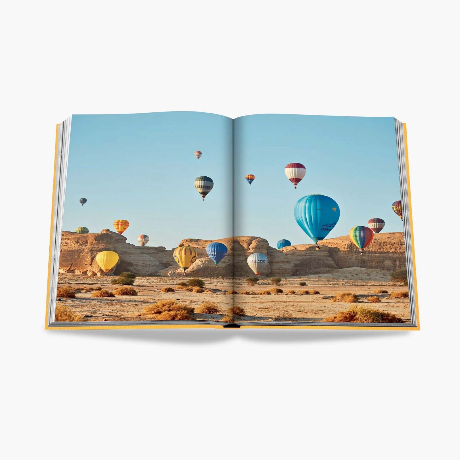 ASSOULINE Libro Alula Ever 25 x 5 x H 33 CM 9781649801562