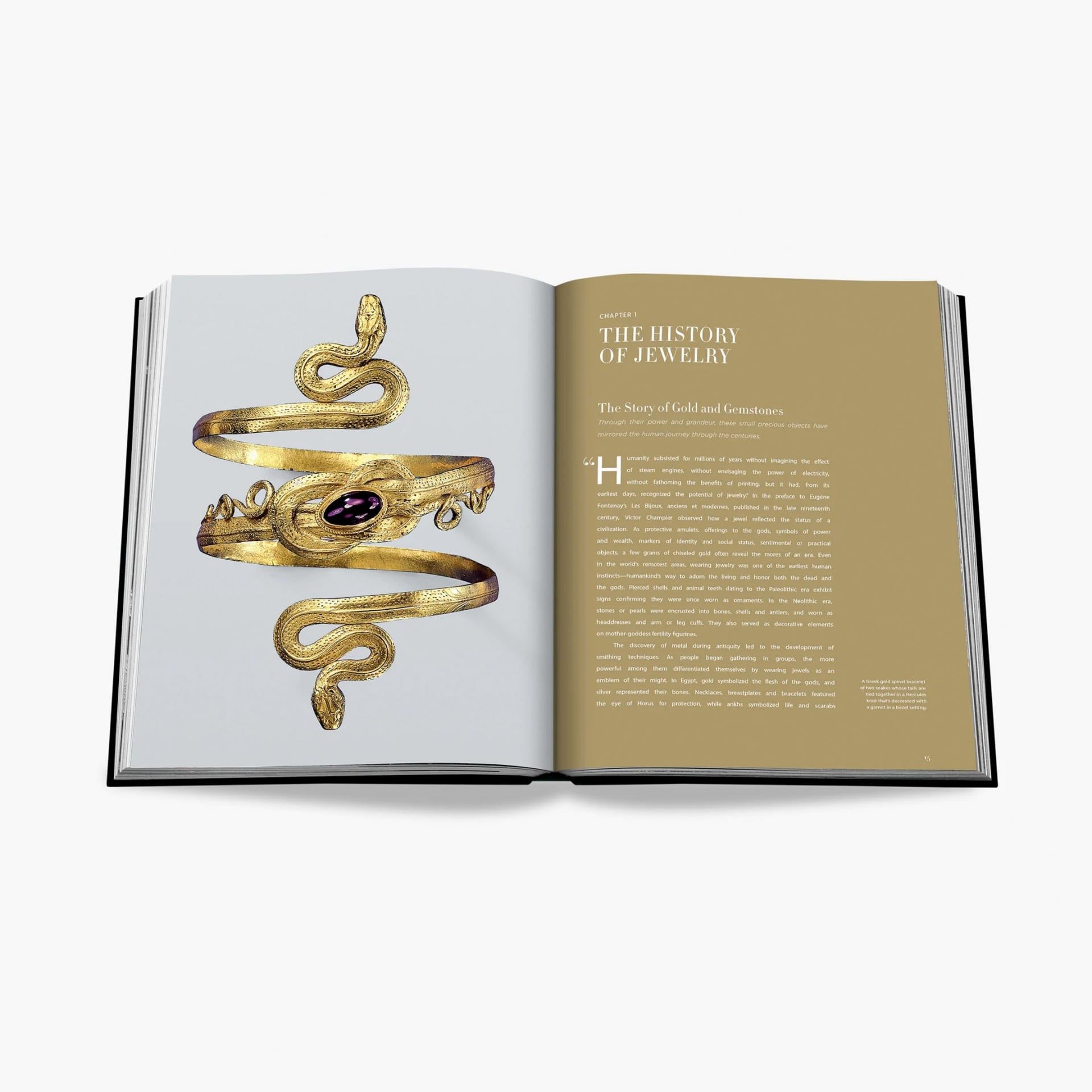 ASSOULINE Libro Jewelry Guide: The Ultimate Compendium 25 x 4 x H 33 CM 9781649800411
