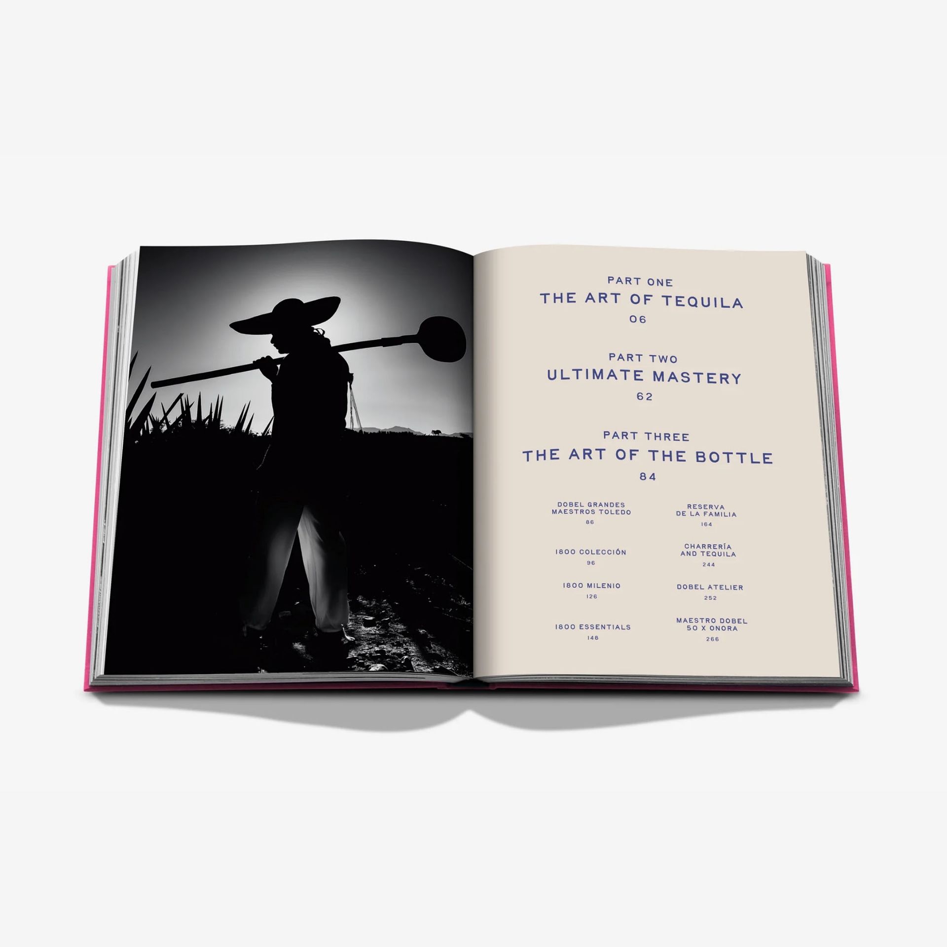 ASSOULINE Libro The Art of Tequila: Spirit of Mexico 25 x 4 x H 32 CM 9781649805997