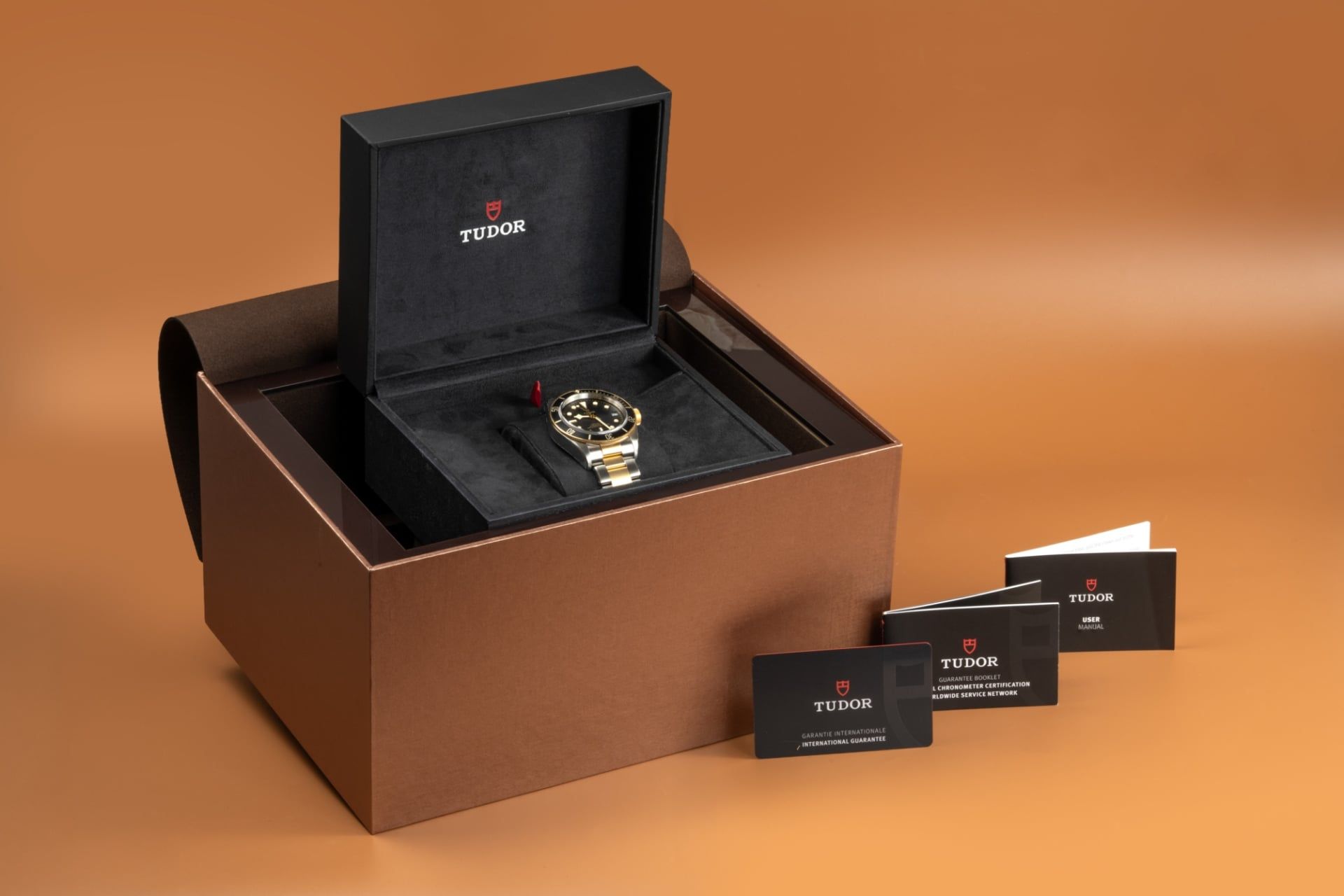 TUDOR Black Bay 41 MM 79733N