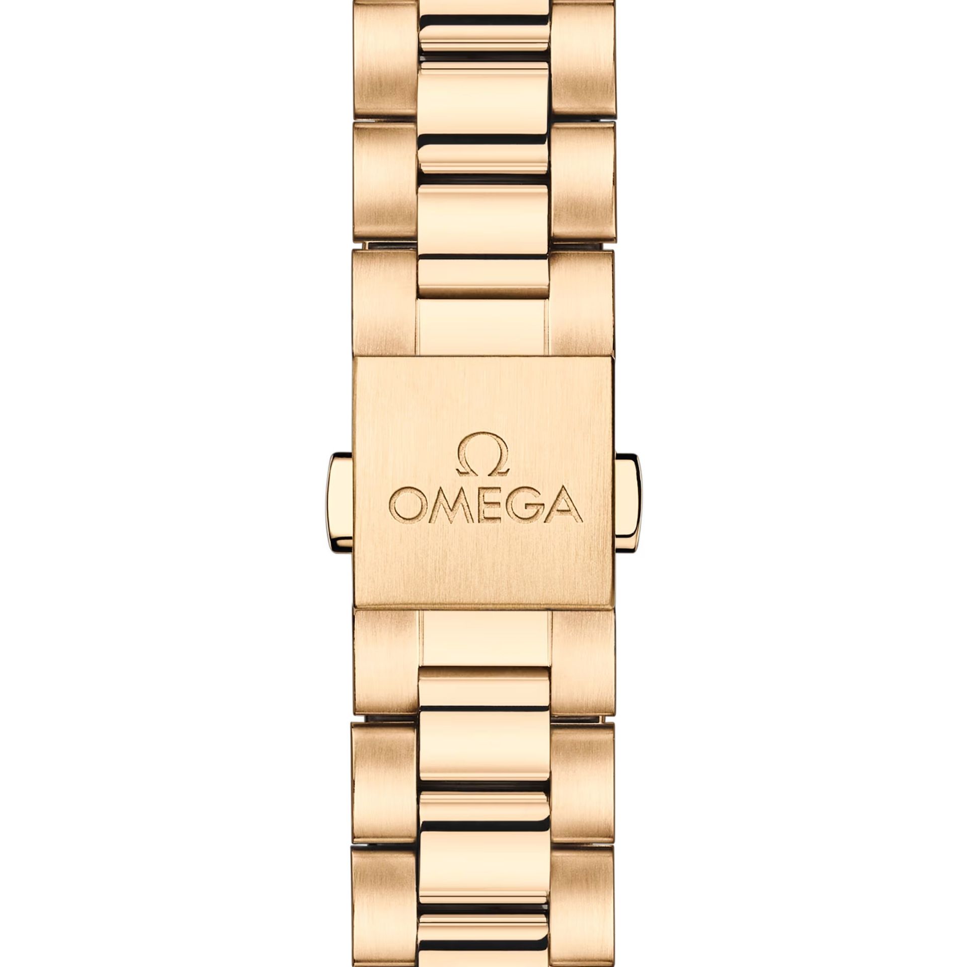 OMEGA Seamaster Aqua Terra 150M 41 MM 220.50.41.21.10.001