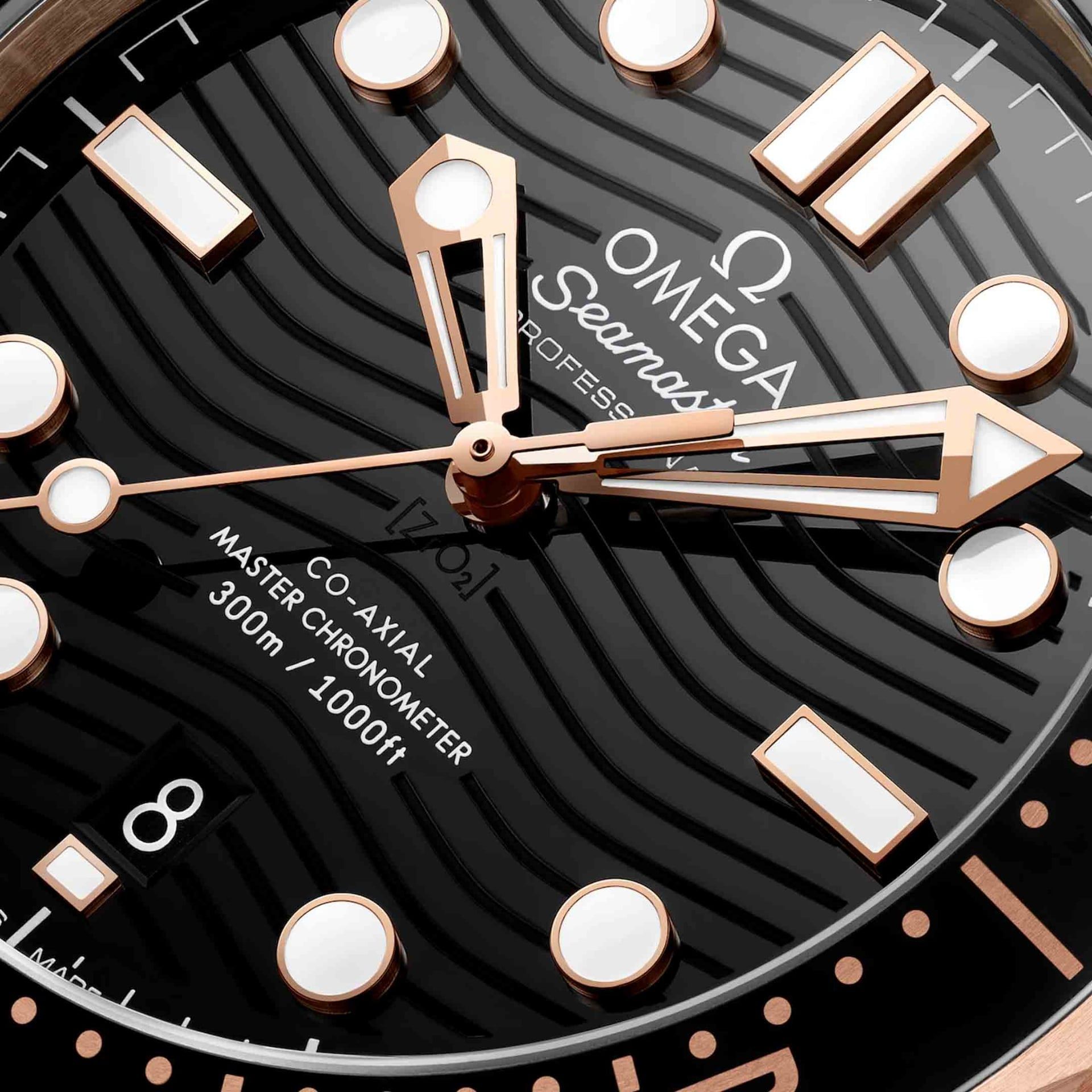 OMEGA Seamaster Diver 300M 42 MM 210.62.42.20.01.002