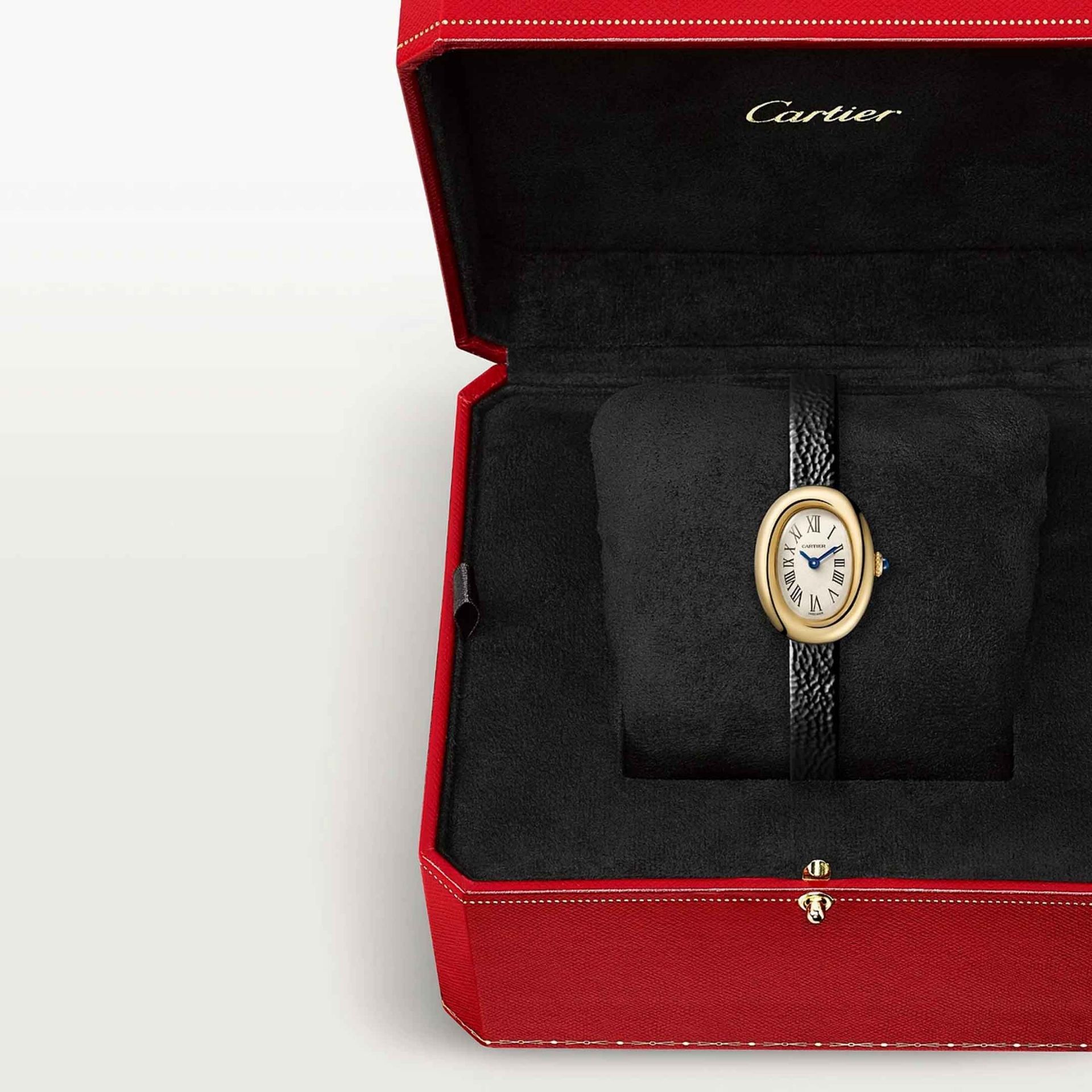 CARTIER Baignoire Modello Mini, Oro Giallo, Pelle 24.6 X 18.7 MM WGBA0075