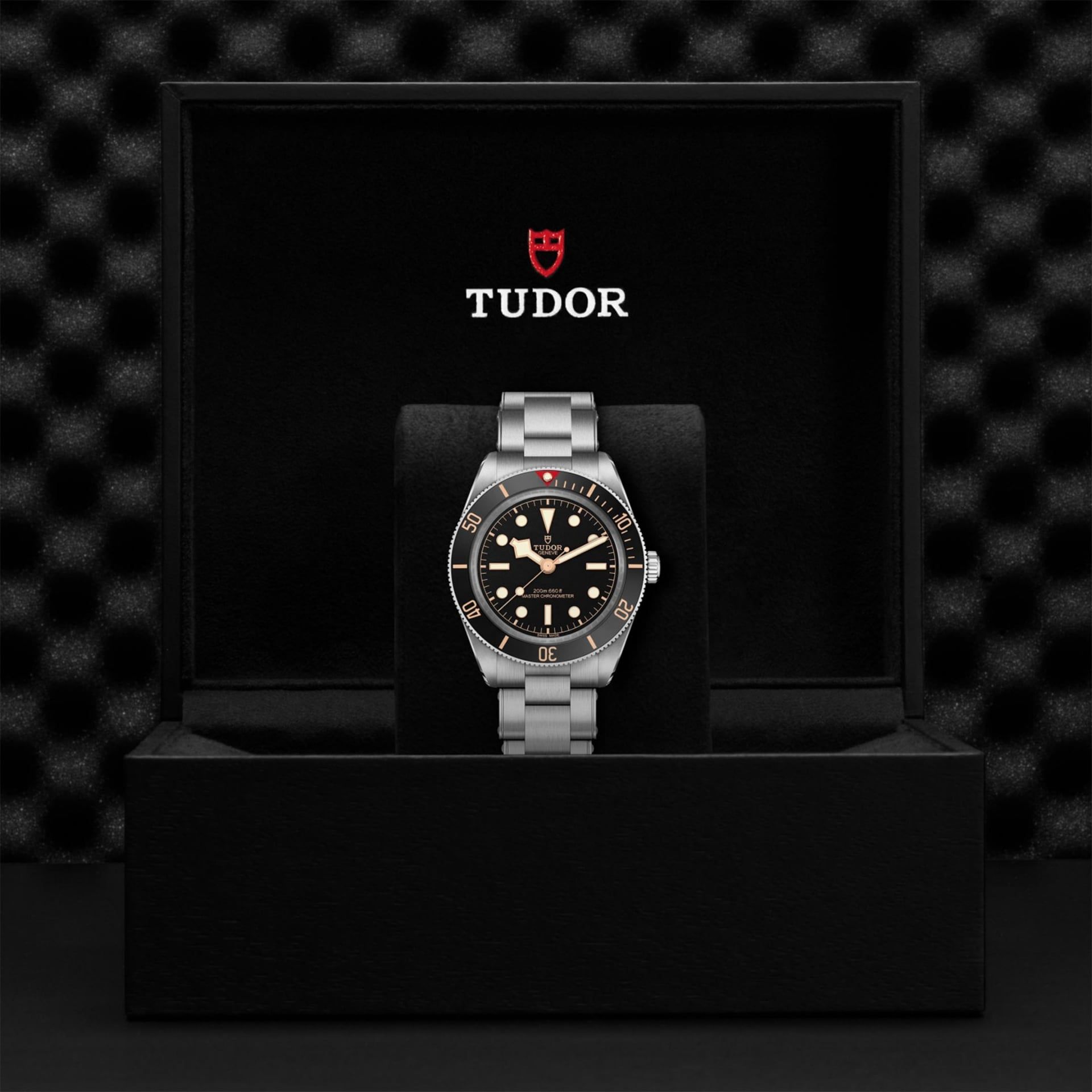 TUDOR Black Bay 58 39 MM M7939A1A0NU-0002