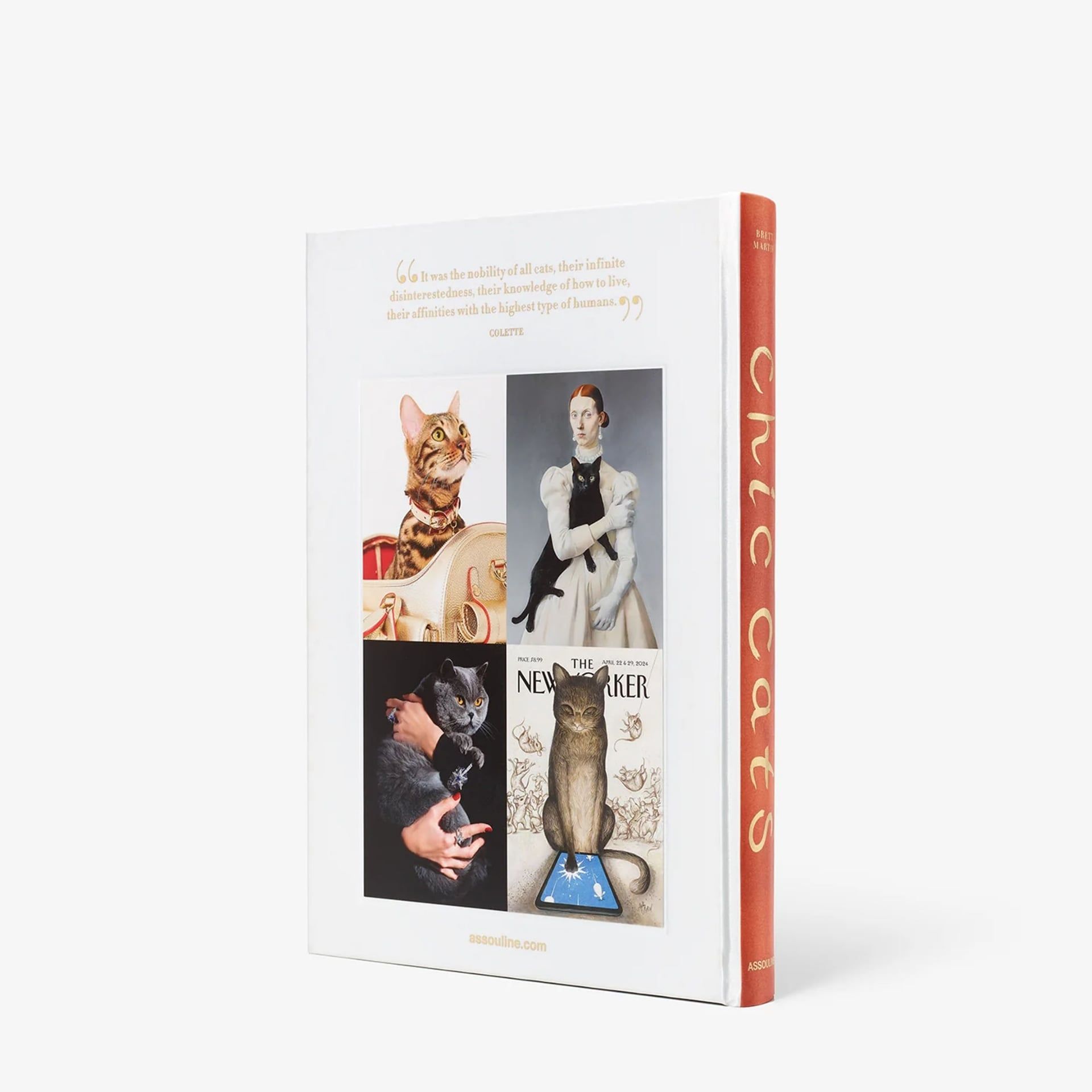ASSOULINE Libro Chic Cats 25 x 3 x H 33 CM 9781649806871