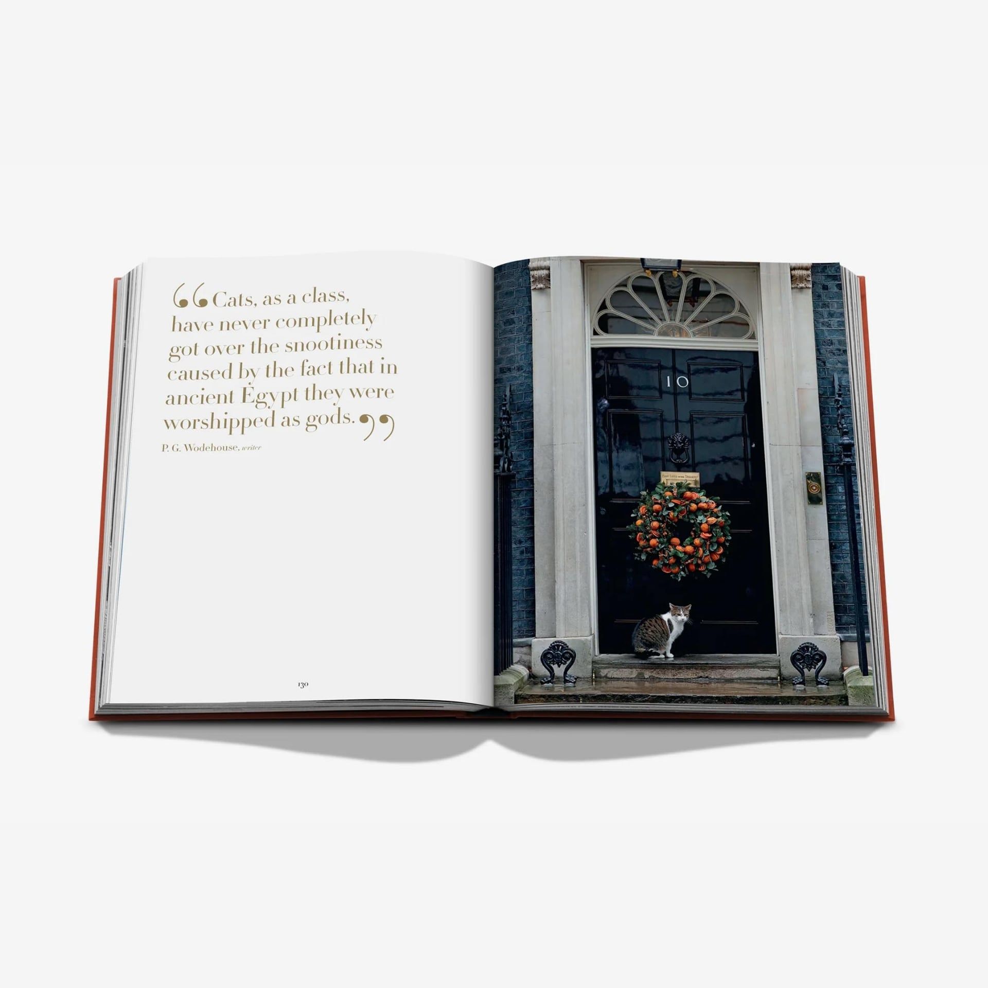ASSOULINE Libro Chic Cats 25 x 3 x H 33 CM 9781649806871