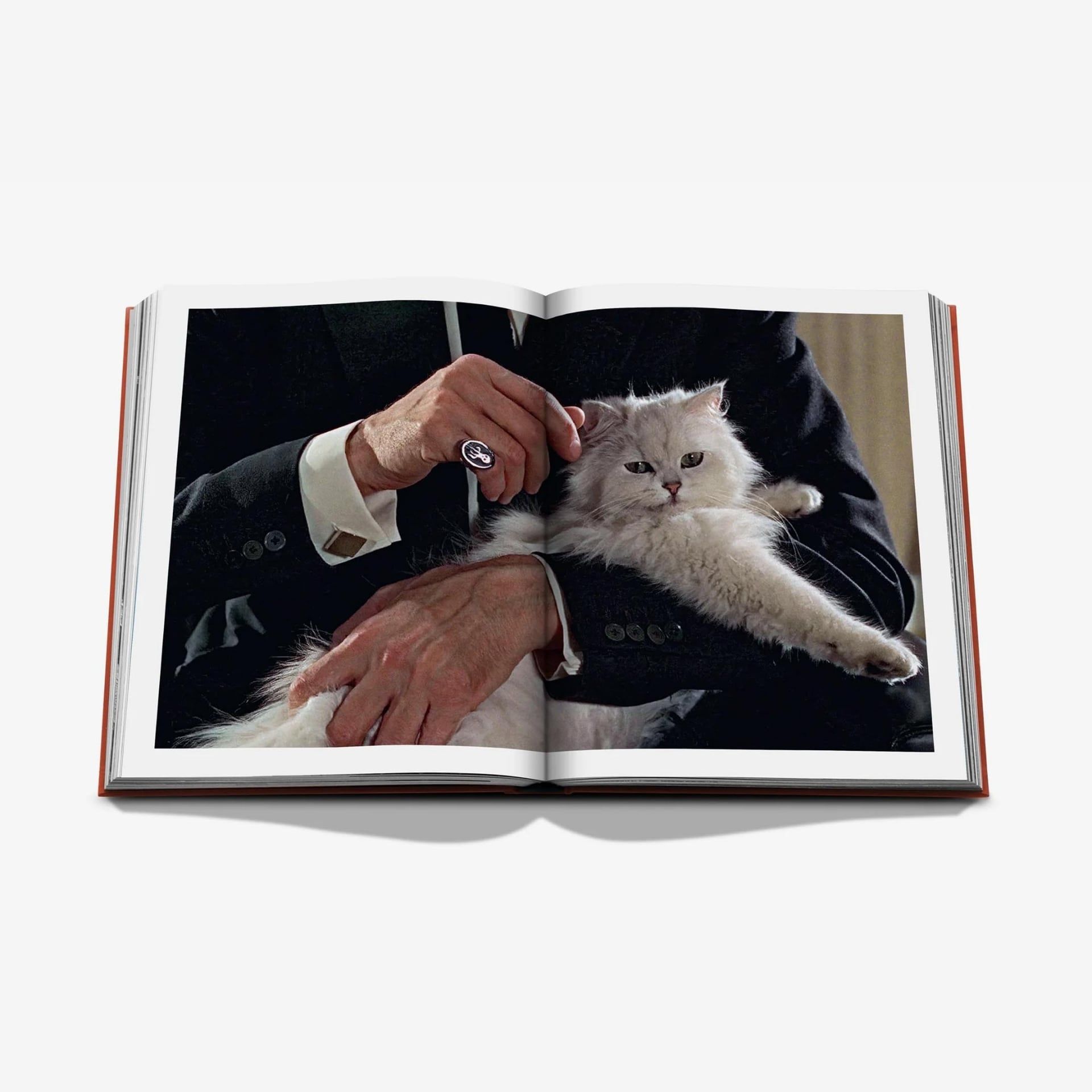 ASSOULINE Libro Chic Cats 25 x 3 x H 33 CM 9781649806871
