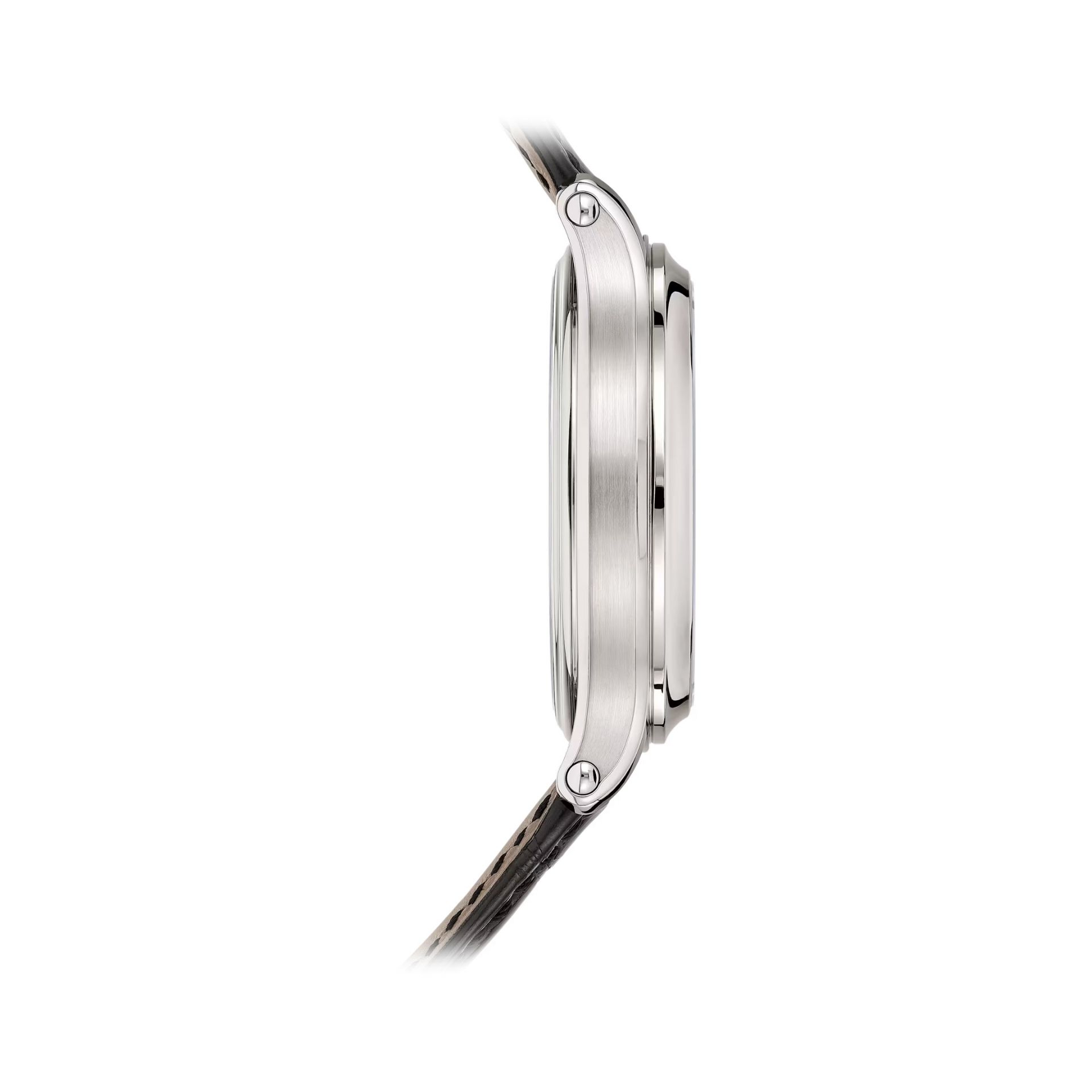 PATEK PHILIPPE Grandi Complicazioni 44.8 MM 6301P-001
