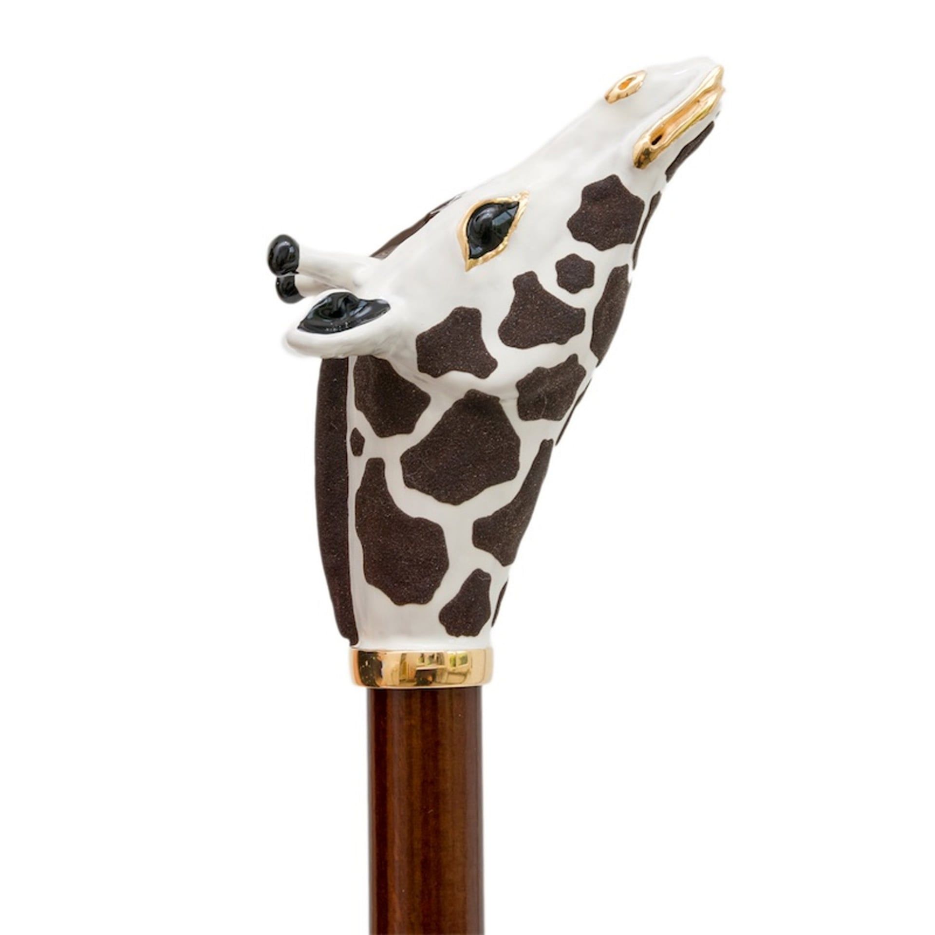 Pasotti Calzante Giraffa  CS*K8