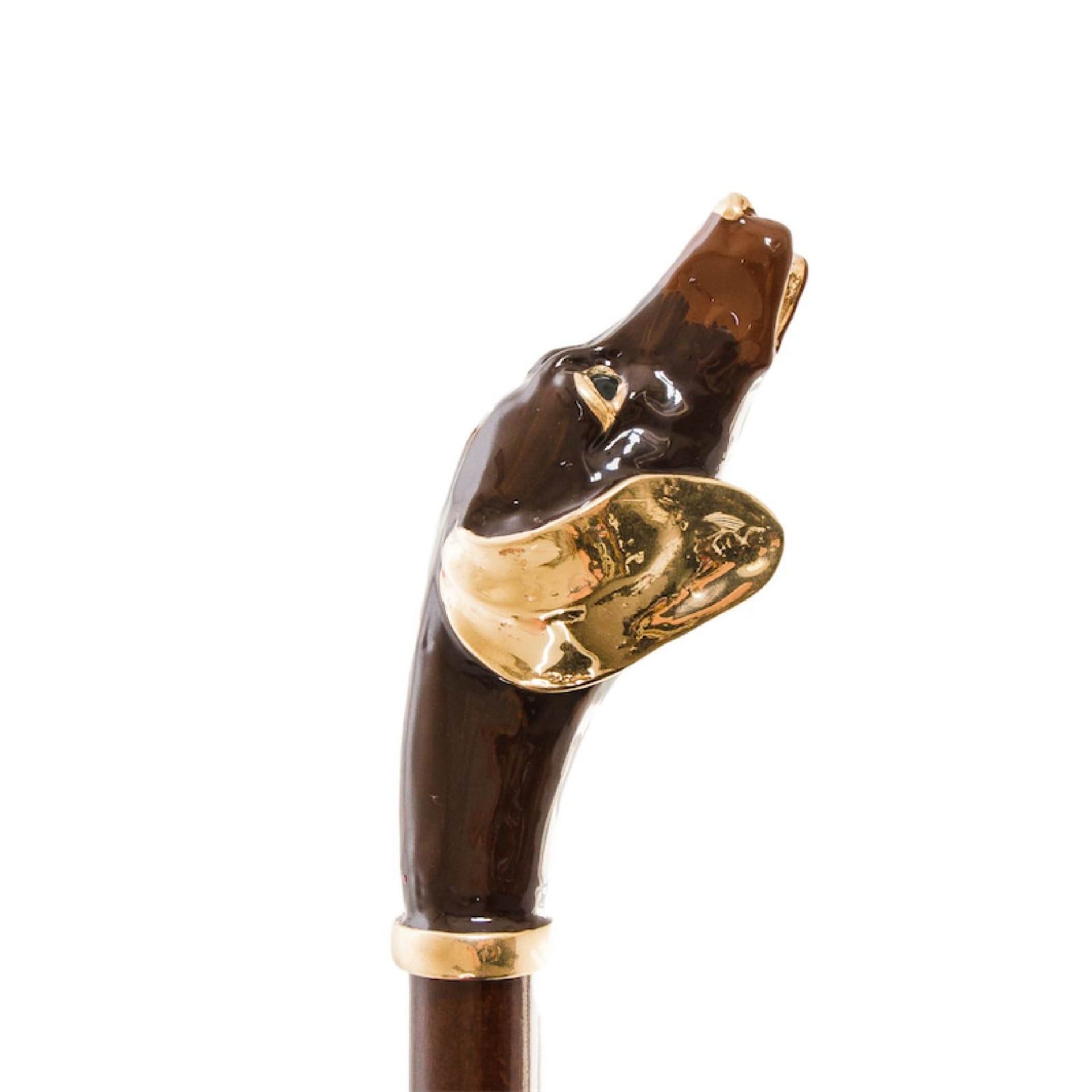 Pasotti Calzante Bassotto  CS*K84