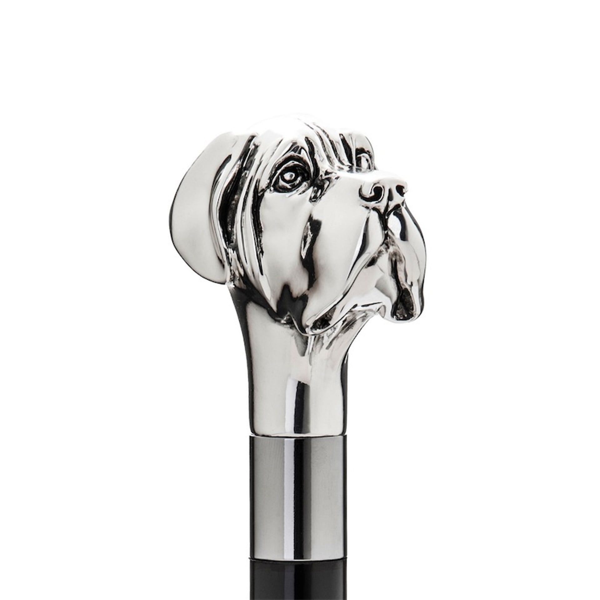 Pasotti Calzante Labrador Argento  CS*W27