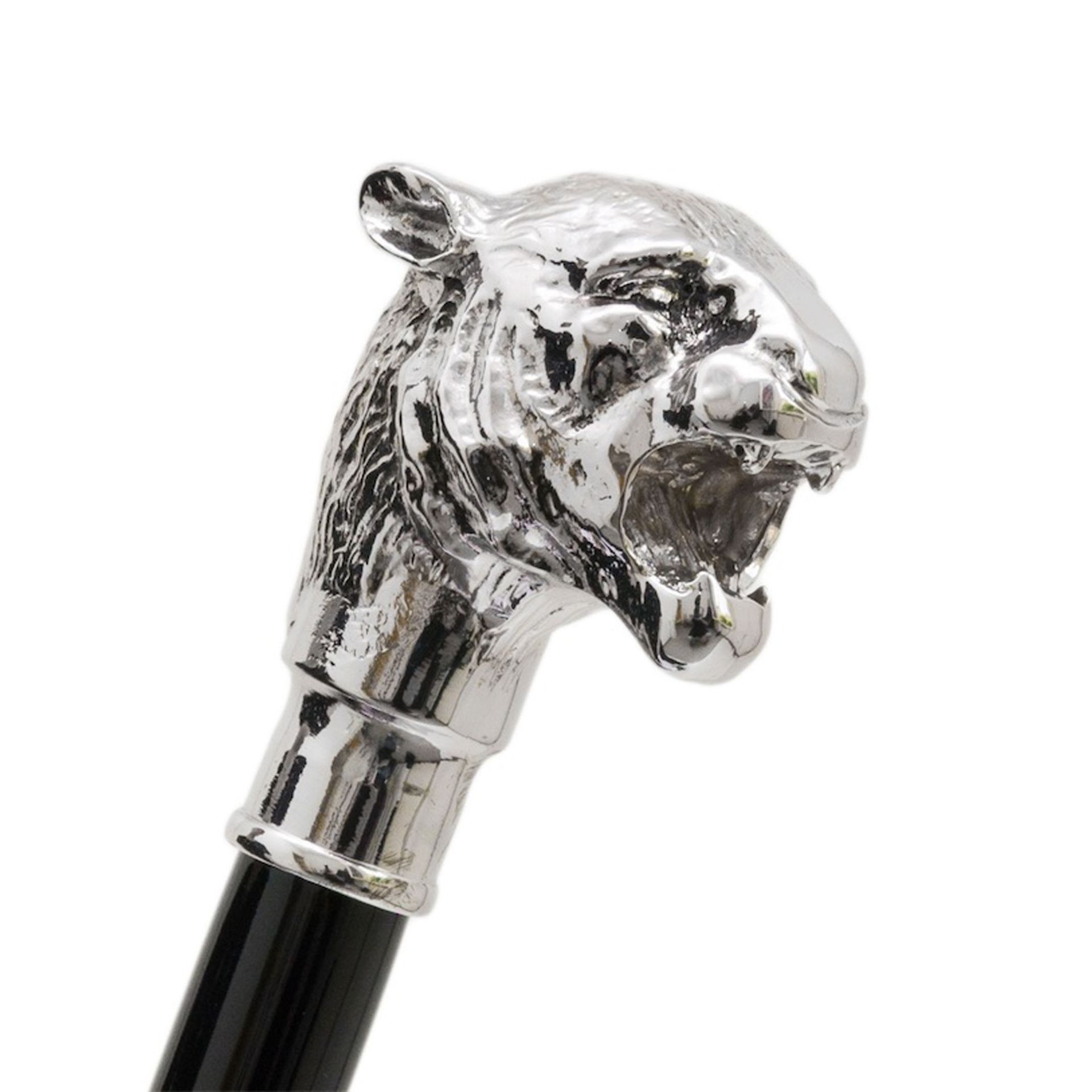 Pasotti Calzante Tigre Argento  CS*W35