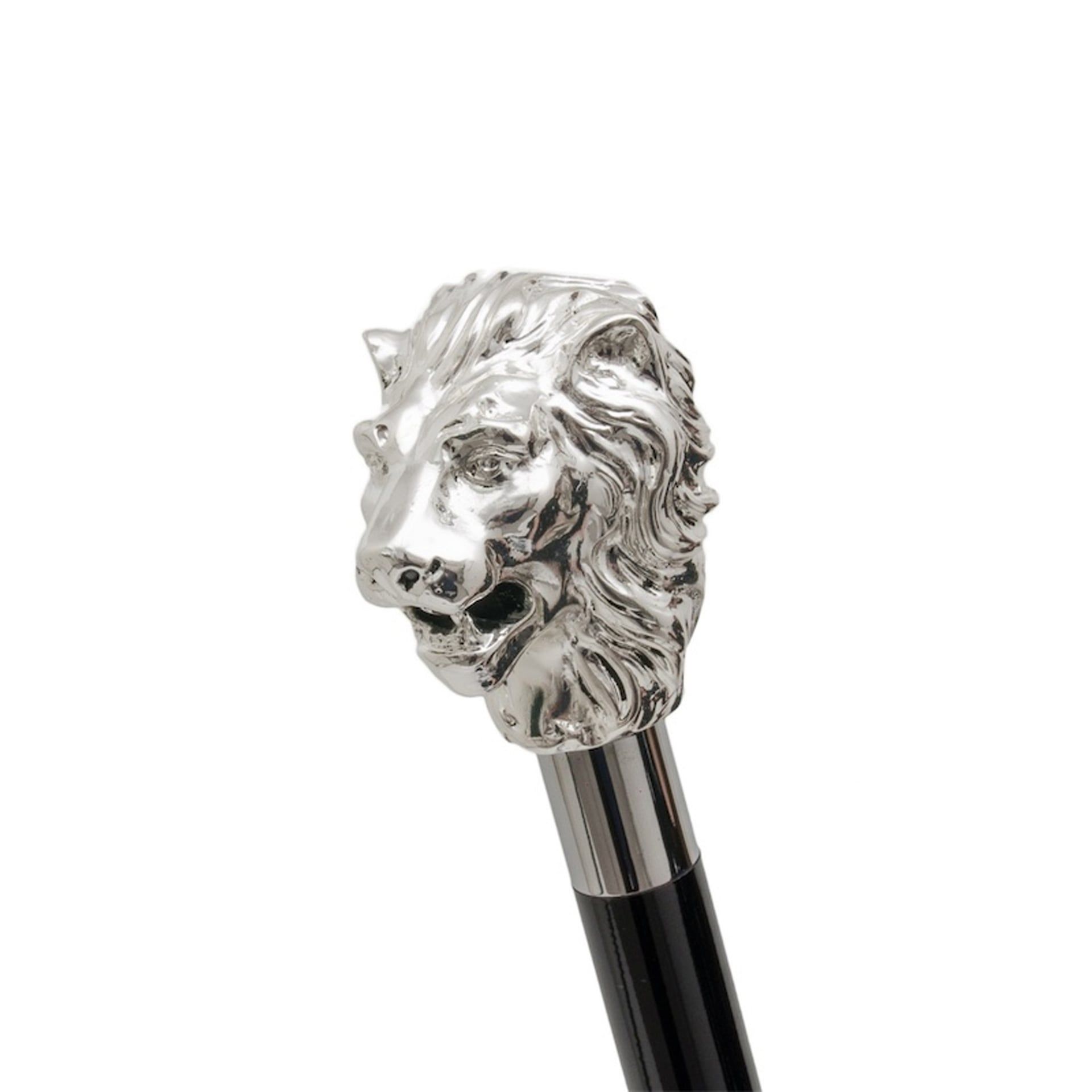 Pasotti Calzante Leone Argento  CS*W37