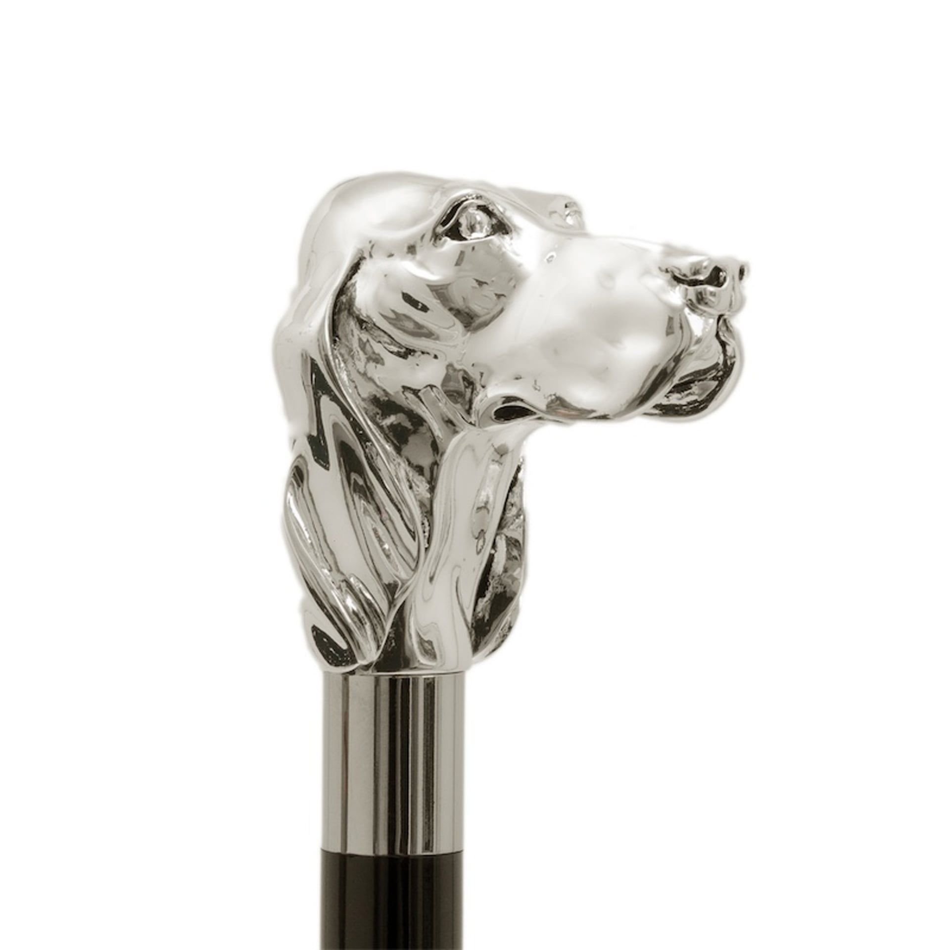 Pasotti Calzante Fido Argento  CS*W40