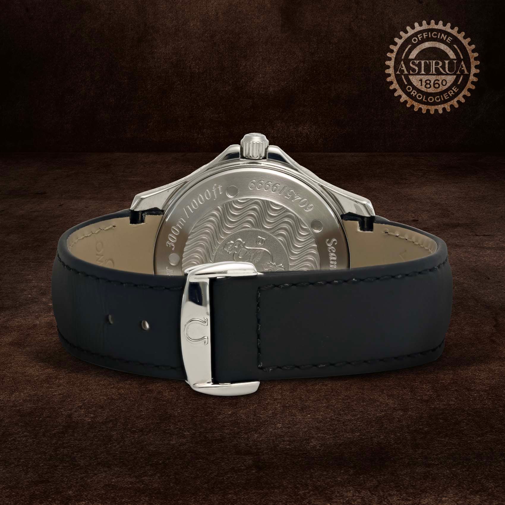 OMEGA Seamaster Professional Chronometer 41.5 MM 28335091