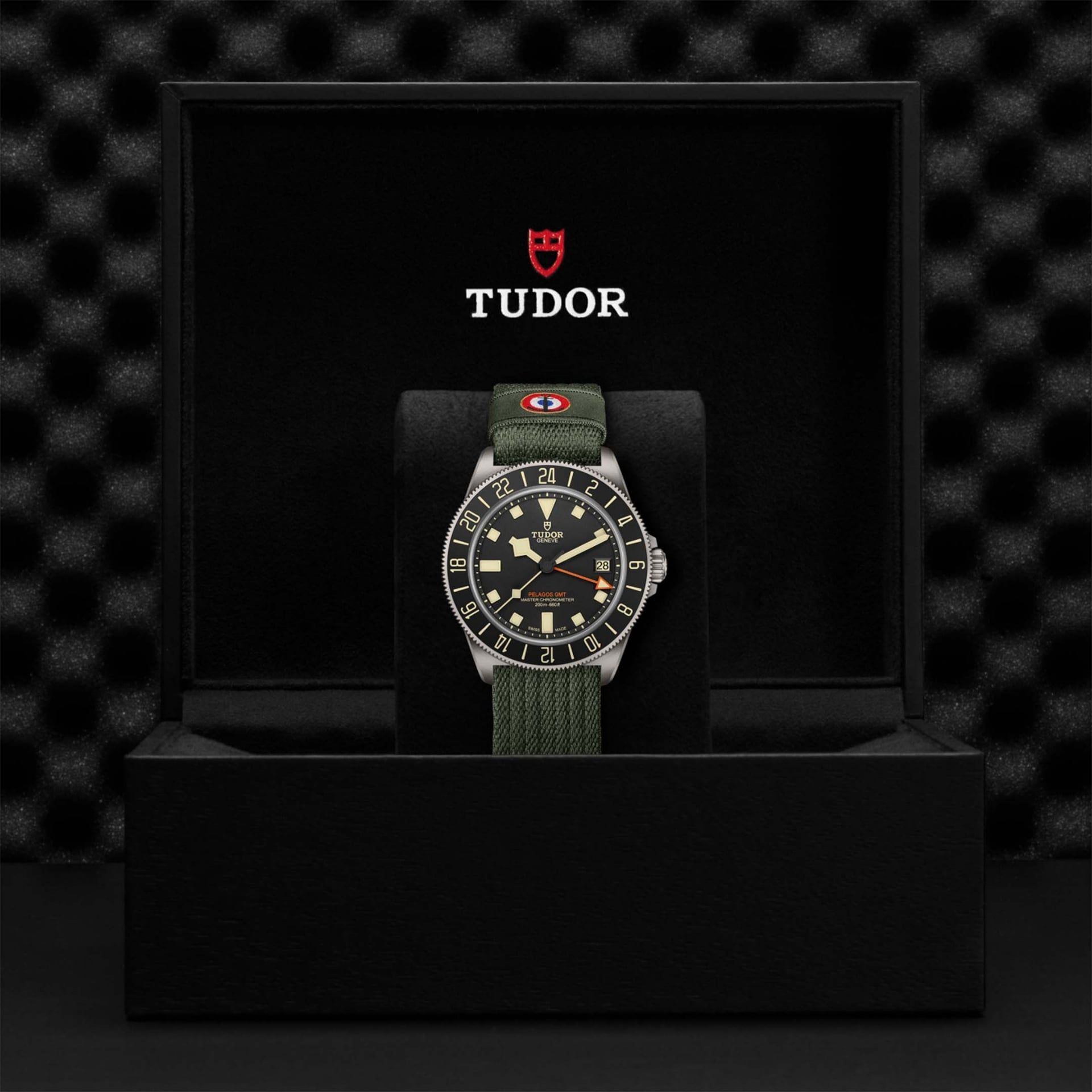 TUDOR Pelagos Fxd GMT 42 MM M2542G267NU-0002