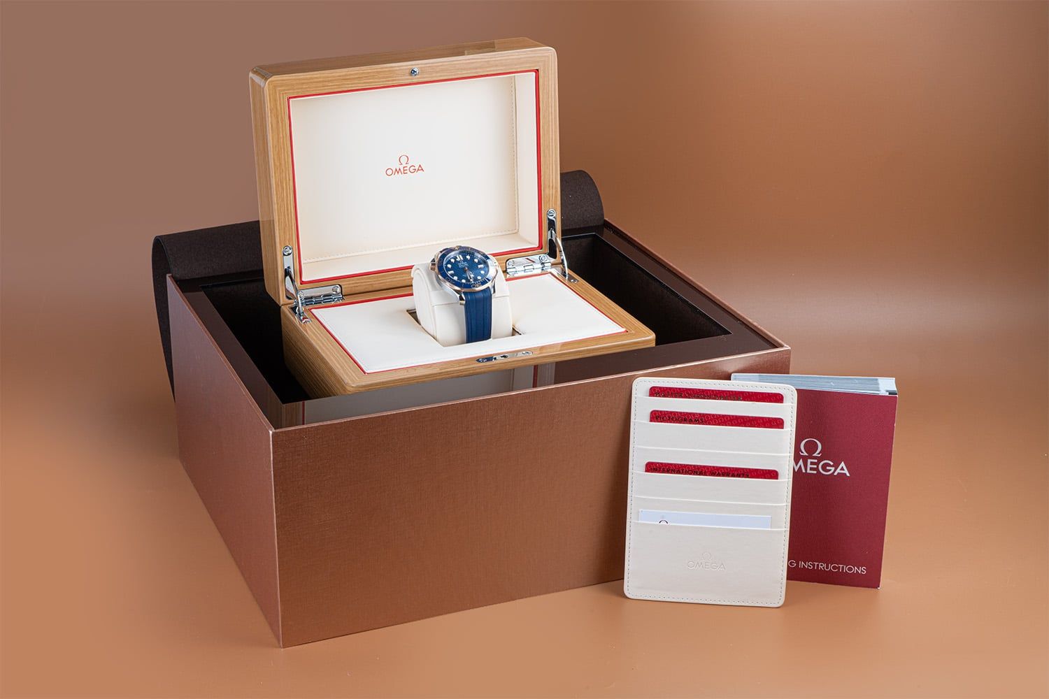 OMEGA Seamaster Diver 300M 42 MM 210.22.42.20.03.002