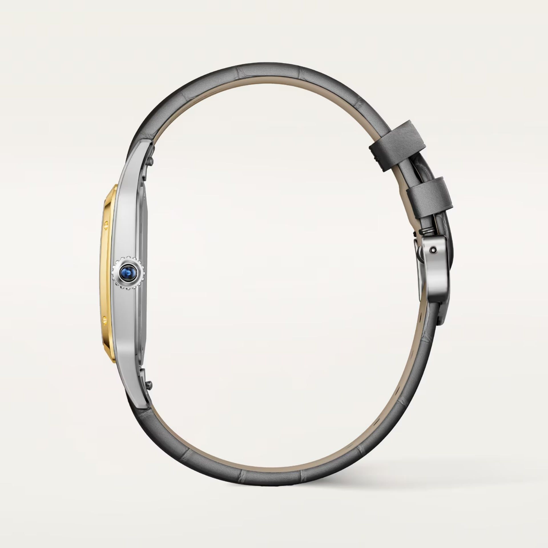CARTIER Santos-Dumont Modello Grande, Acciaio e Oro Giallo, Pelle 43,5 X 31,4 MM W2SA0046