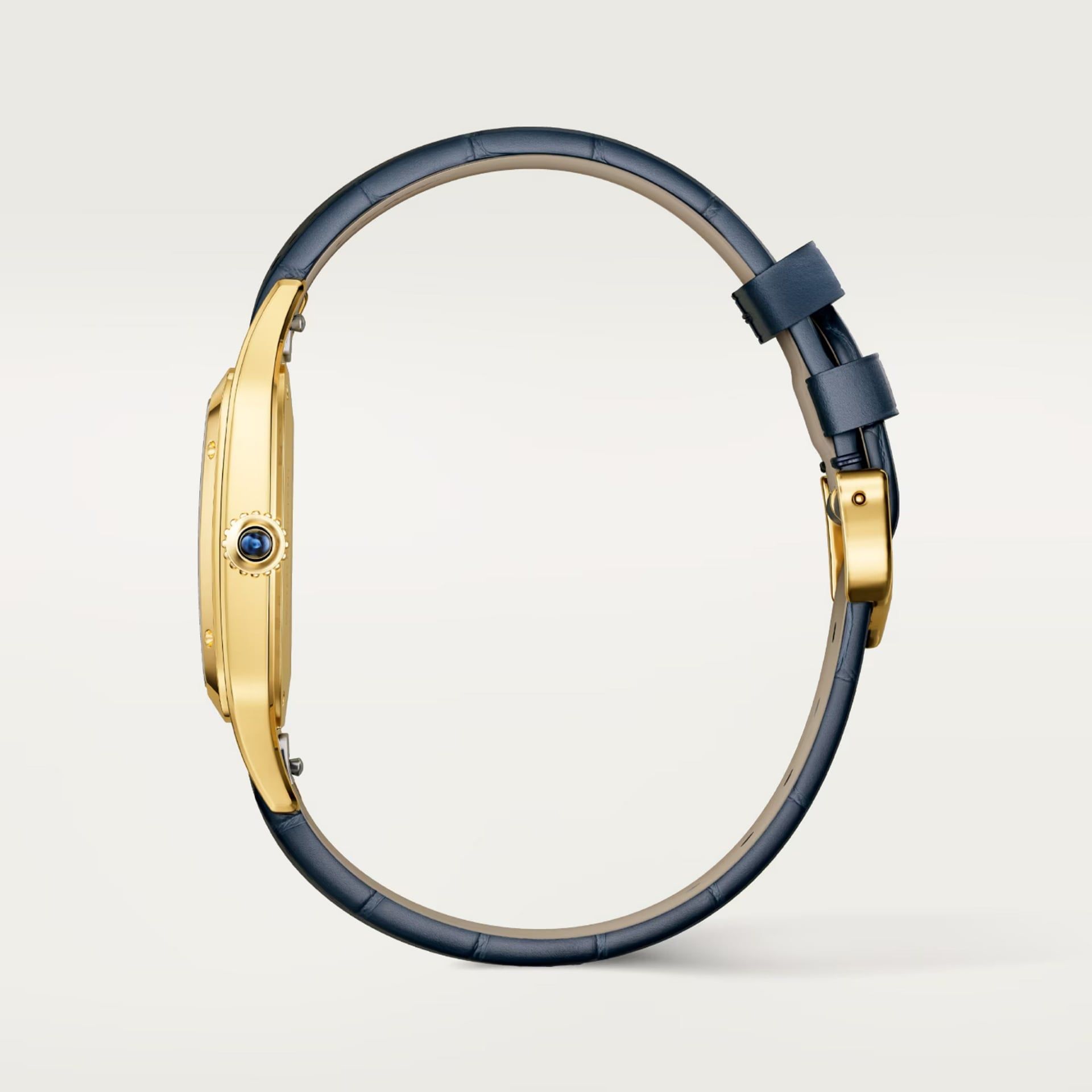 CARTIER Santos-Dumont Modello Grande, Oro Giallo, Pelle 43,5 X 31,4 MM WGSA0139