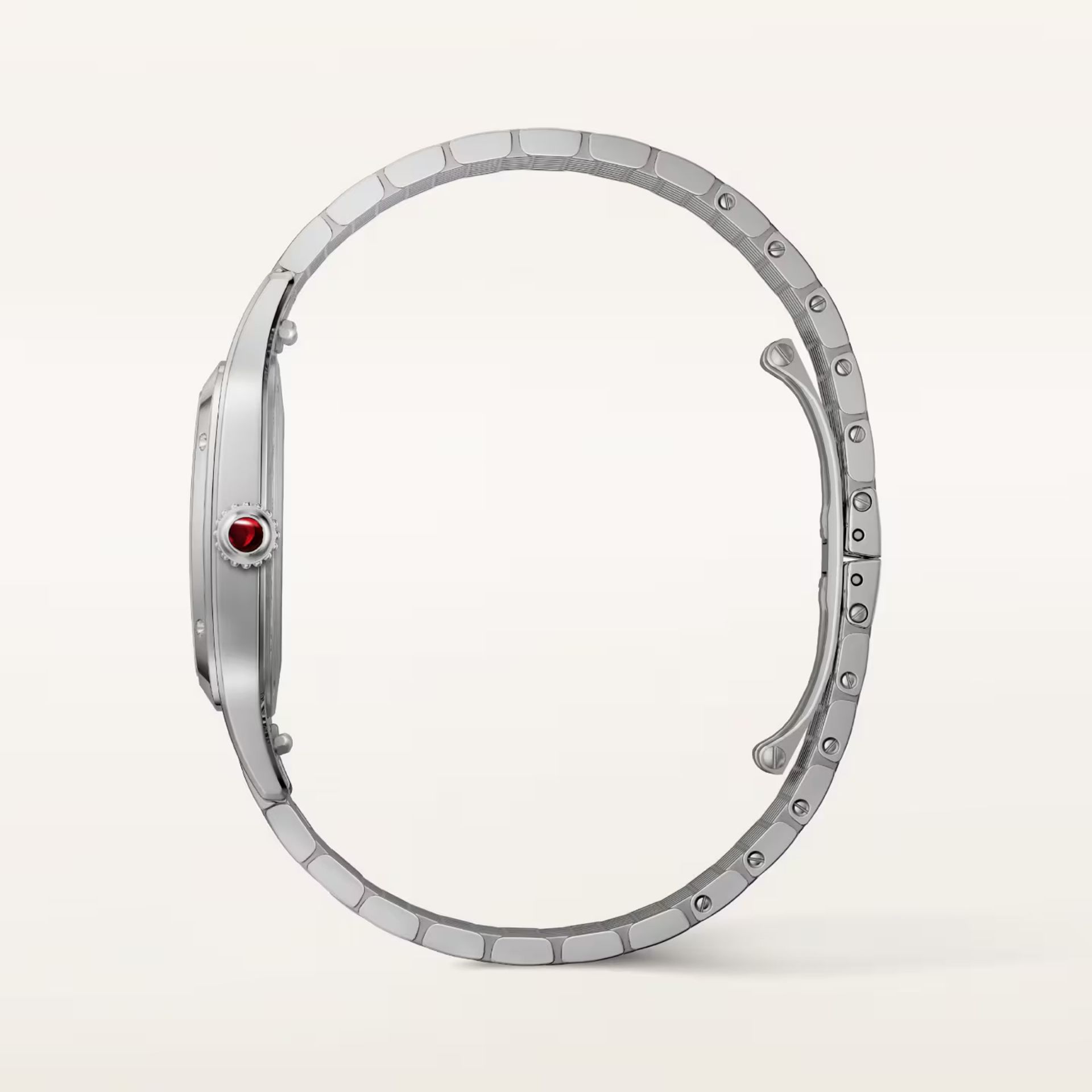 CARTIER Santos-Dumont Modello Grande, Platino 43.5 X 31.4 MM WGSA0124
