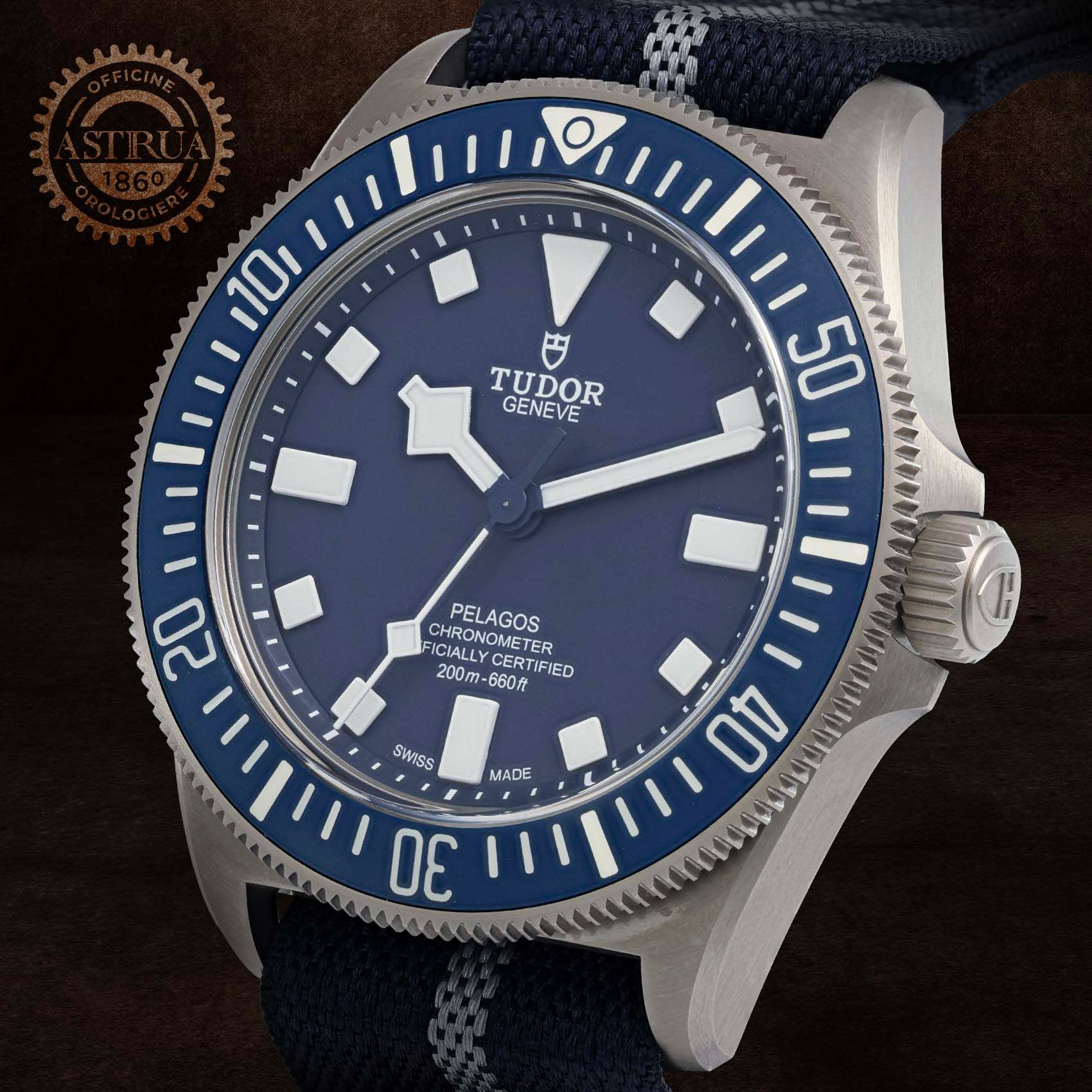 TUDOR Pelagos FXD 42 MM 25707B/24