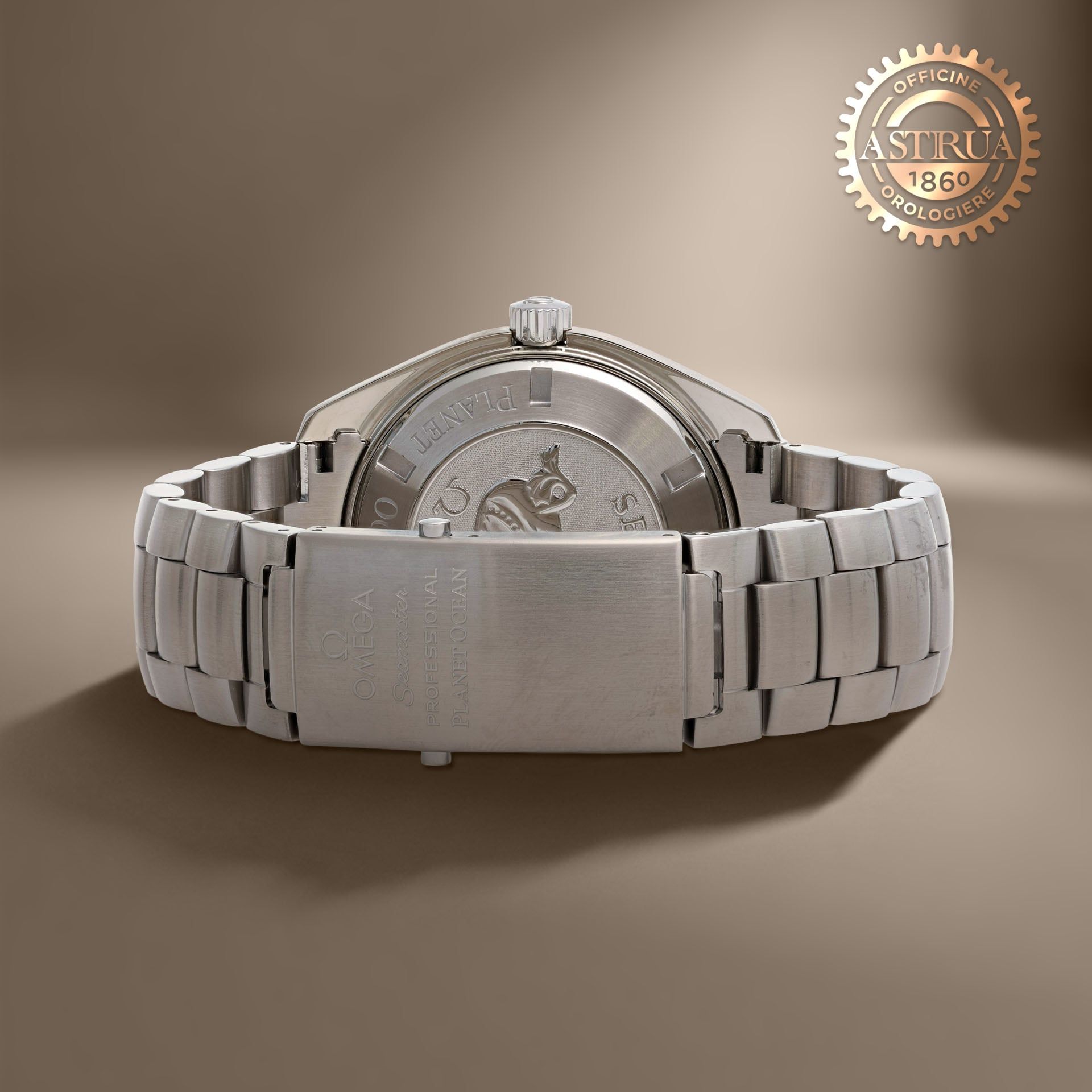 OMEGA Seamaster Planet Ocean 45.5 MM 22085000