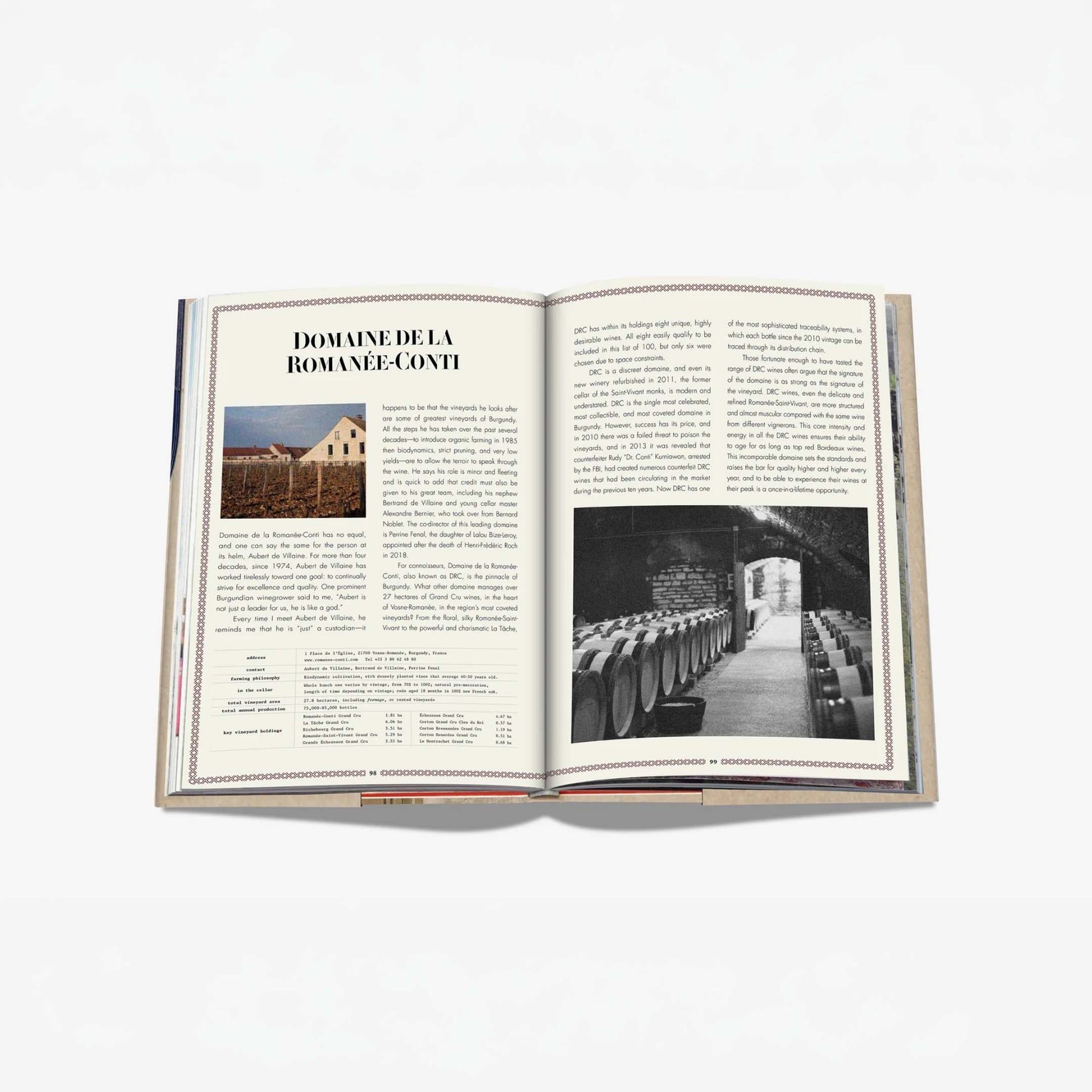 ASSOULINE Libro The 100 Burgundy: Exceptional Wines to Build a Dream Cellar 19 x 3 x H 28 CM 9781614288084