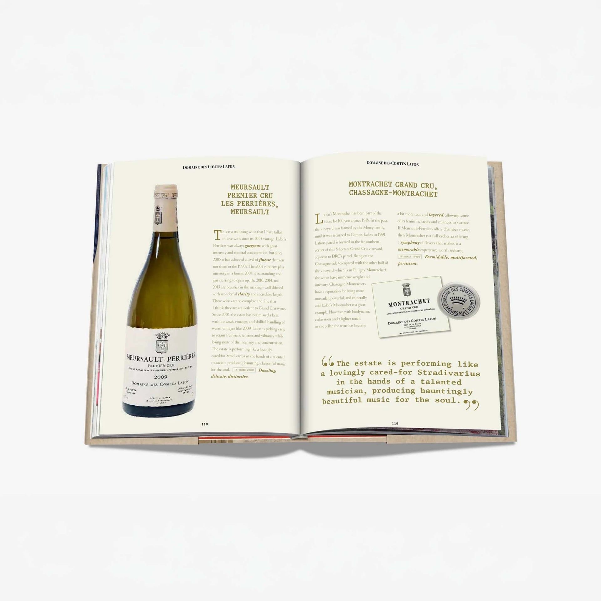 ASSOULINE Libro The 100 Burgundy: Exceptional Wines to Build a Dream Cellar 19 x 3 x H 28 CM 9781614288084