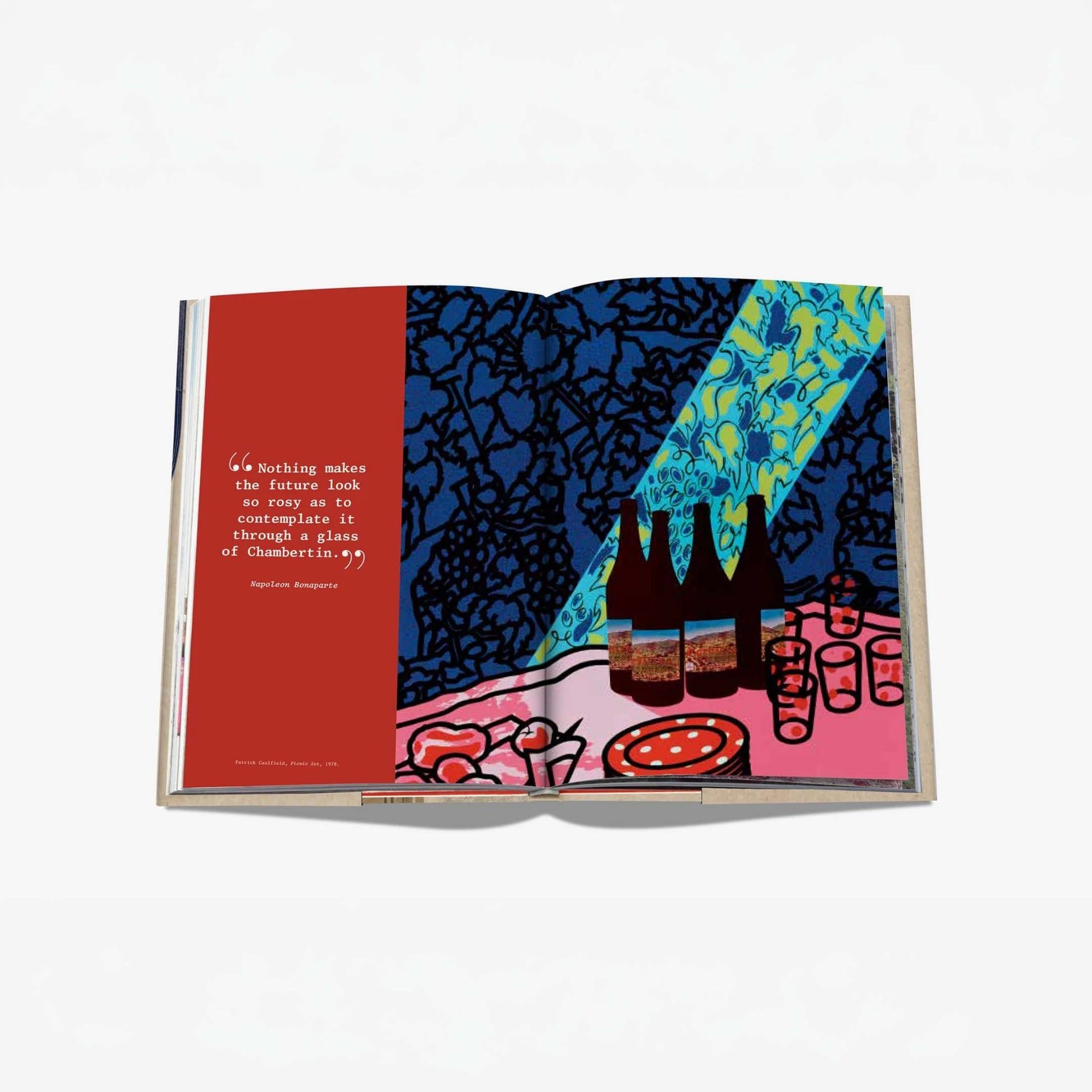 ASSOULINE Libro The 100 Burgundy: Exceptional Wines to Build a Dream Cellar 19 x 3 x H 28 CM 9781614288084