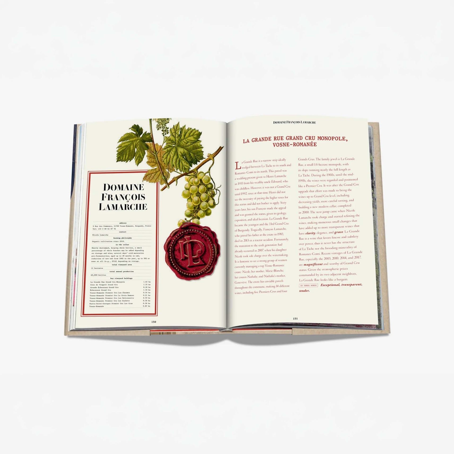 ASSOULINE Libro The 100 Burgundy: Exceptional Wines to Build a Dream Cellar 19 x 3 x H 28 CM 9781614288084